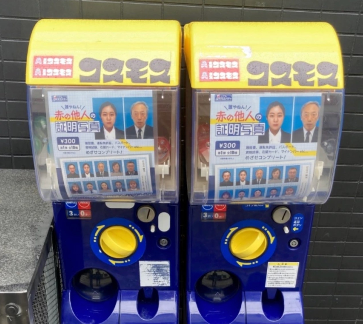 Di 500 km de mua anh the cua nguoi la anh 1