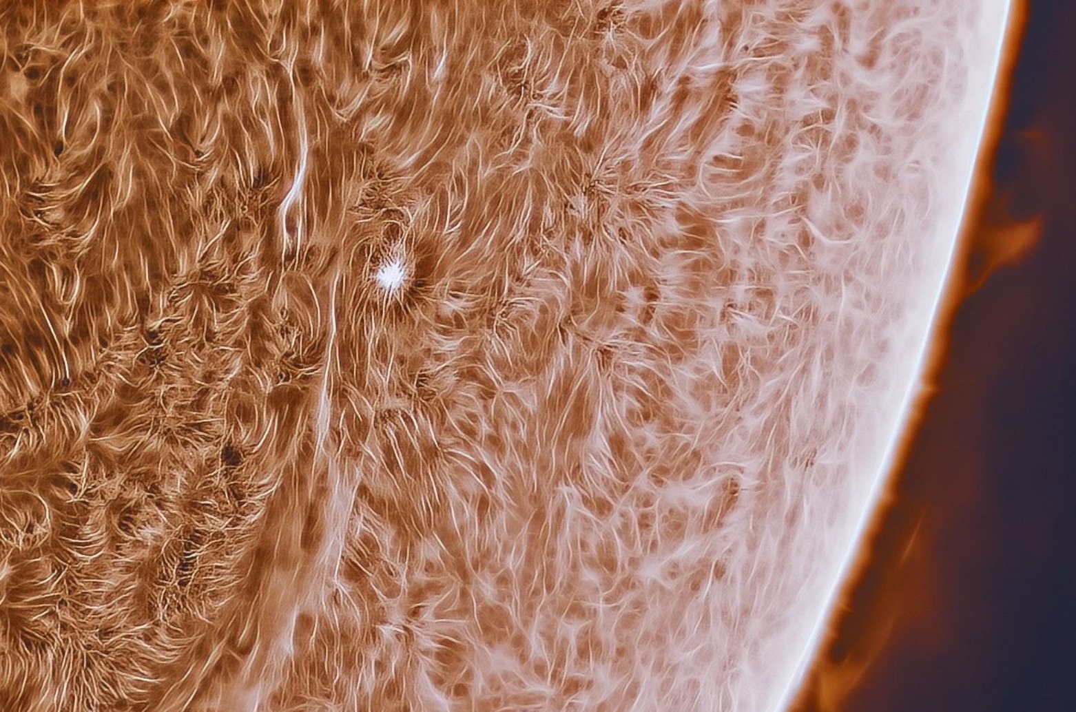 Su that ve buc anh tu truong Mat Troi dang lan truyen tren mang xa hoi hinh anh