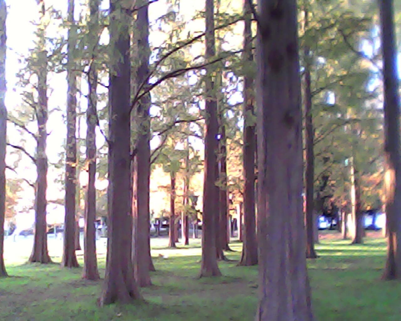 Camera siêu nhỏ Pieni II ảnh 7 Camera sieu nho Pieni II anh 7