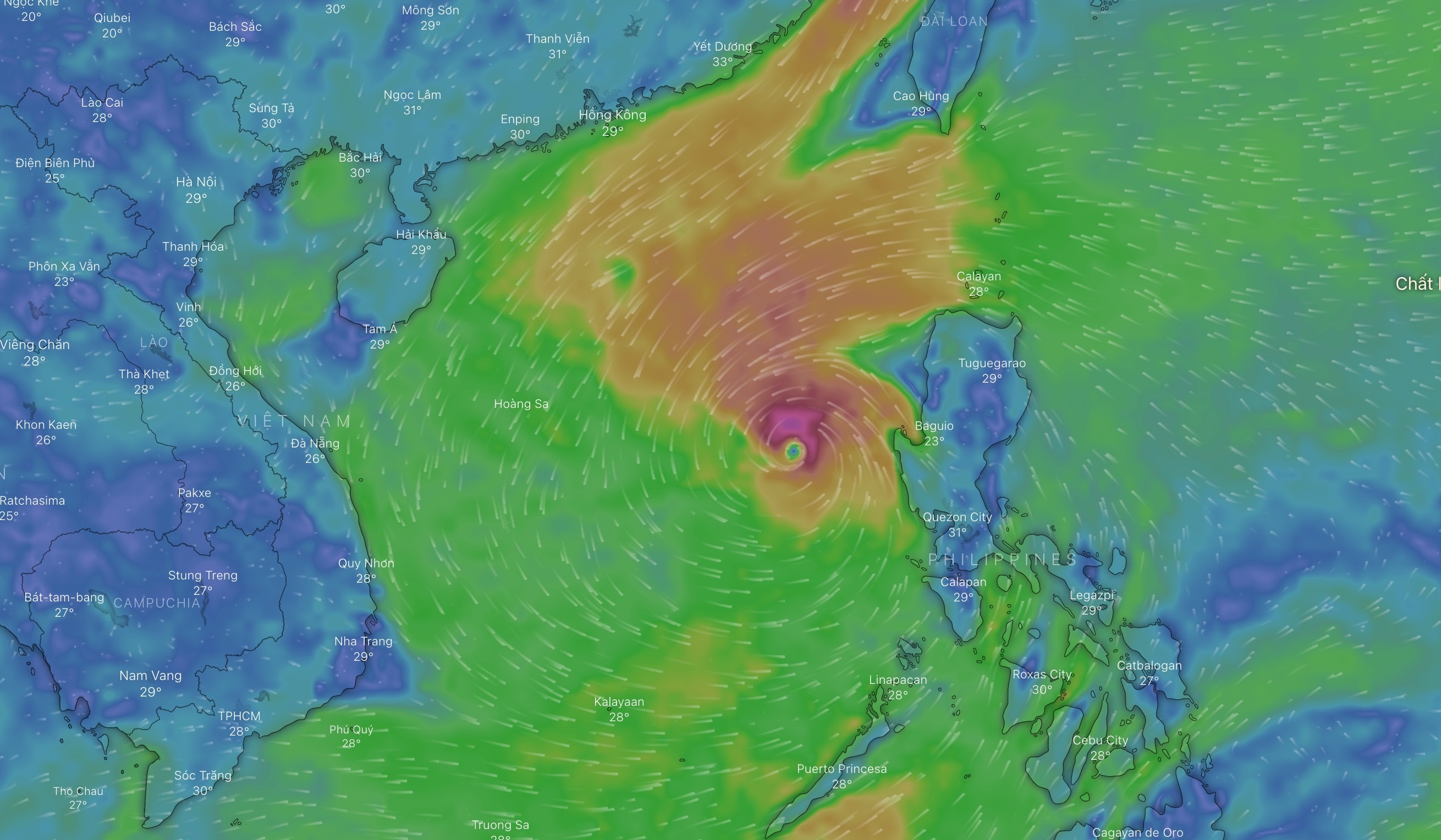 Anh ve tinh bao Noru anh 11