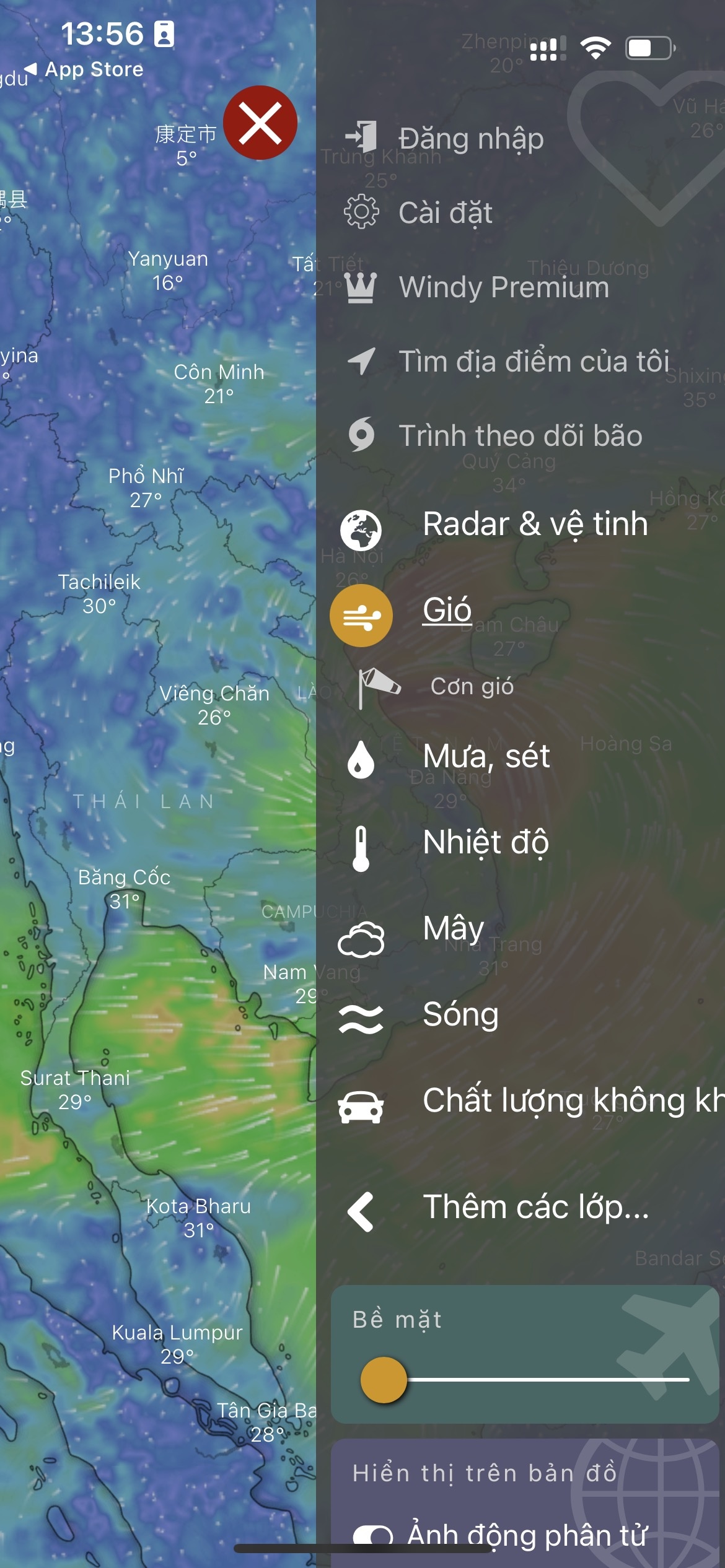 Ung dung Windy anh 3