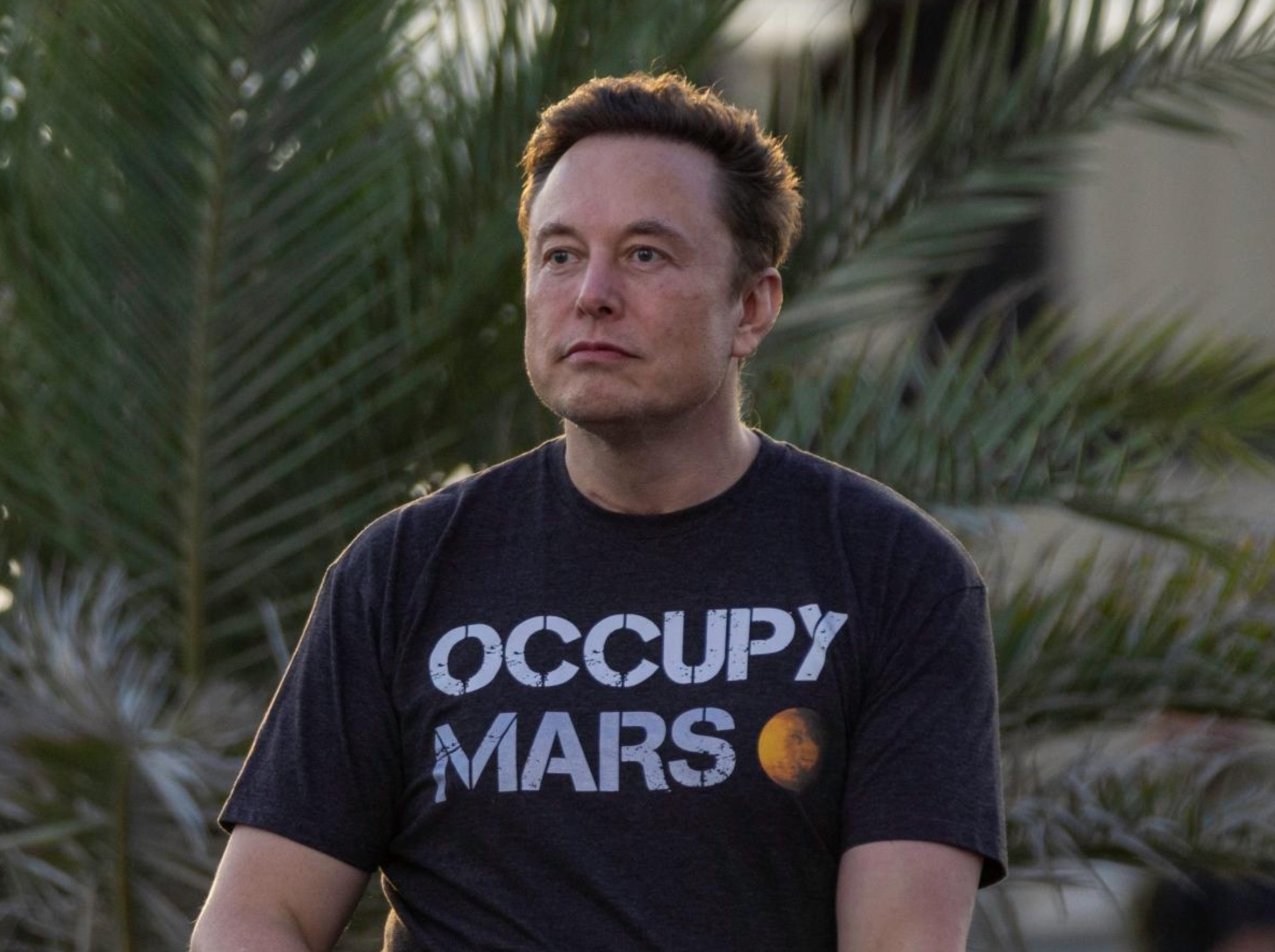 Elon Musk duoc ban khuyen co 500 dua con hinh anh