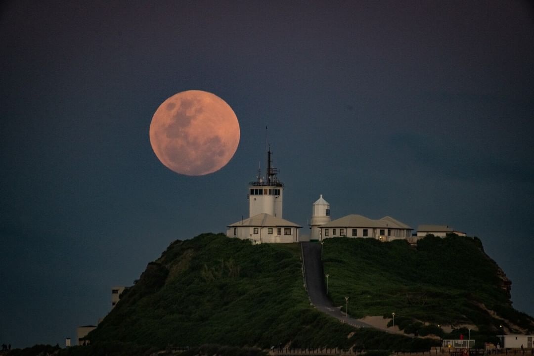 Nguoi dan khap the gioi chiem nguong 'Trang mau' hinh anh