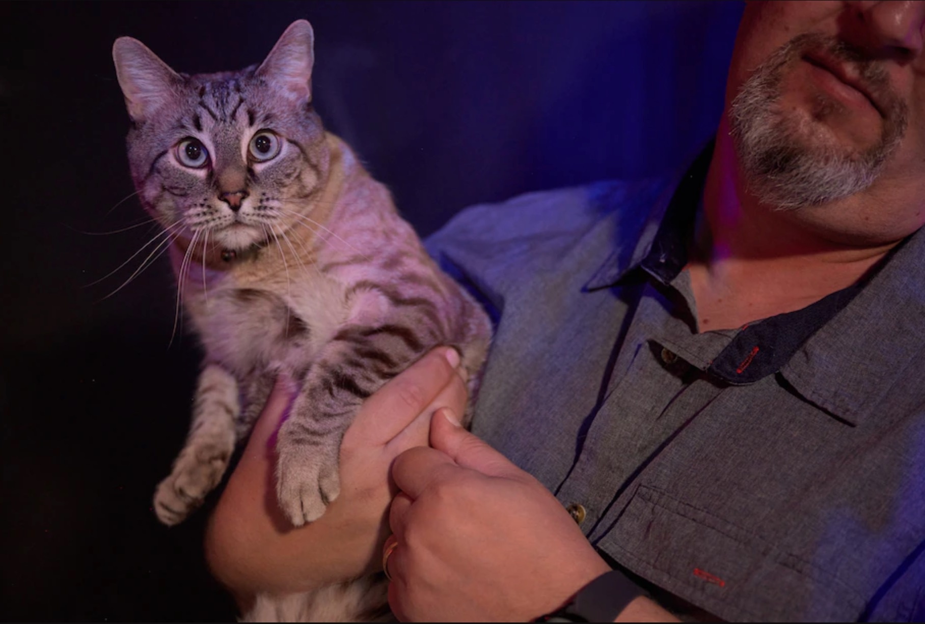 Bi hack tai khoan Facebook anh 4