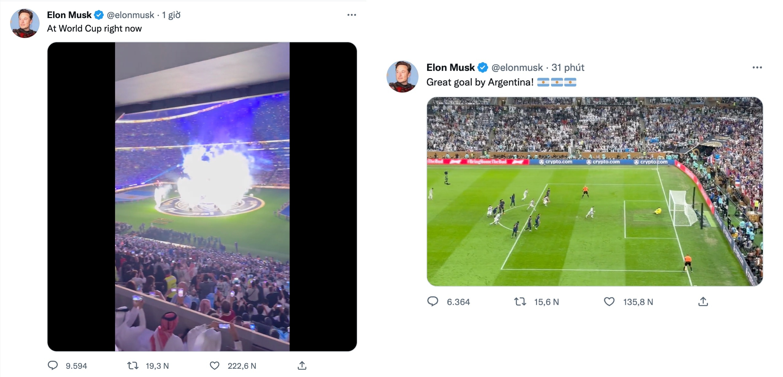 Elon Musk xem World Cup anh 1
