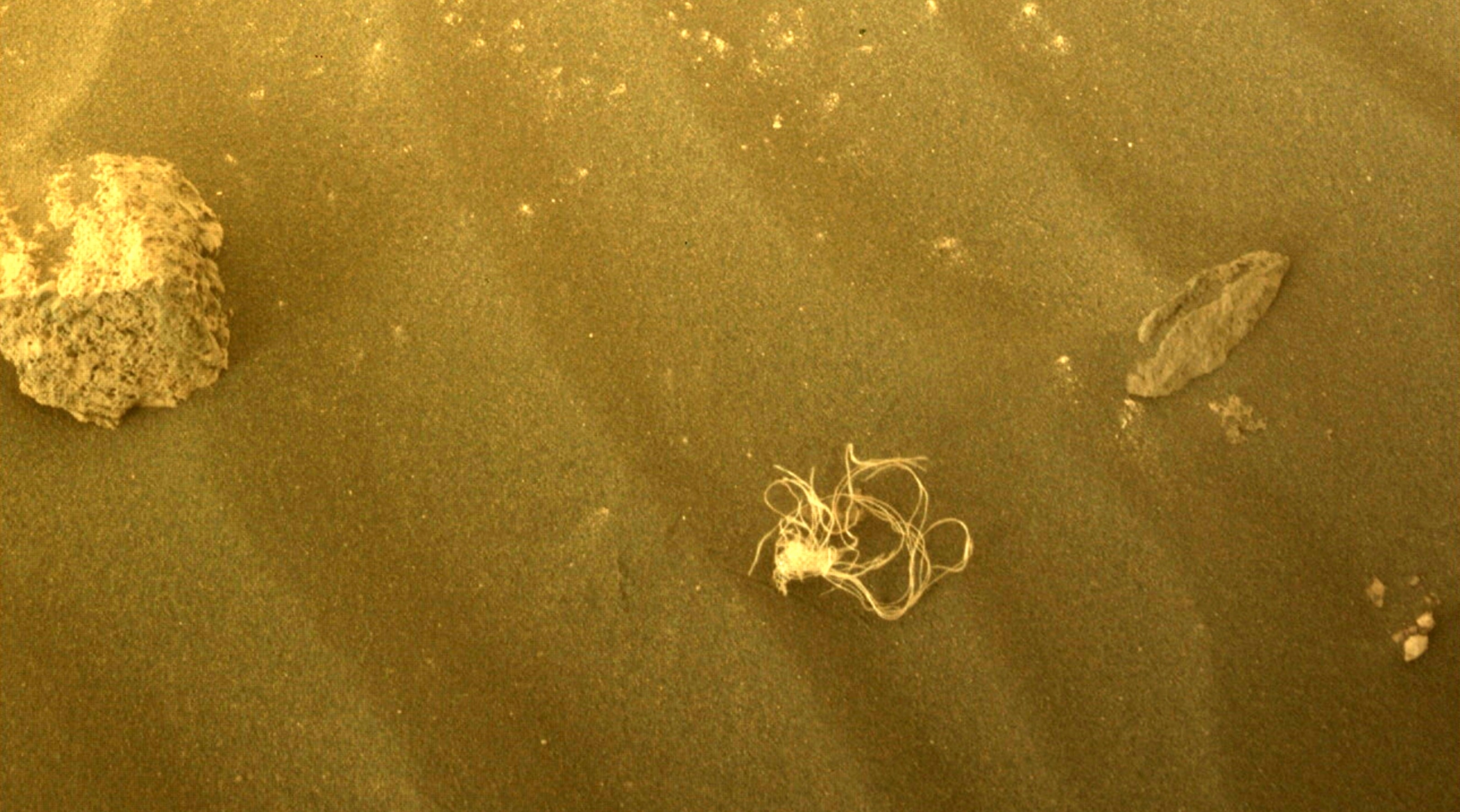 Anh chup Hoa tinh anh 8