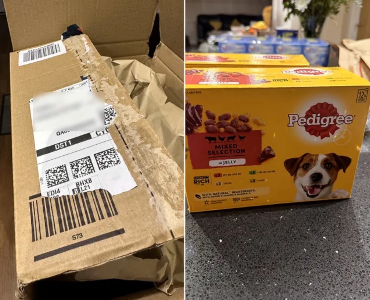 Dat MacBook tren mang, nhan hop thuc an cho cho hinh anh