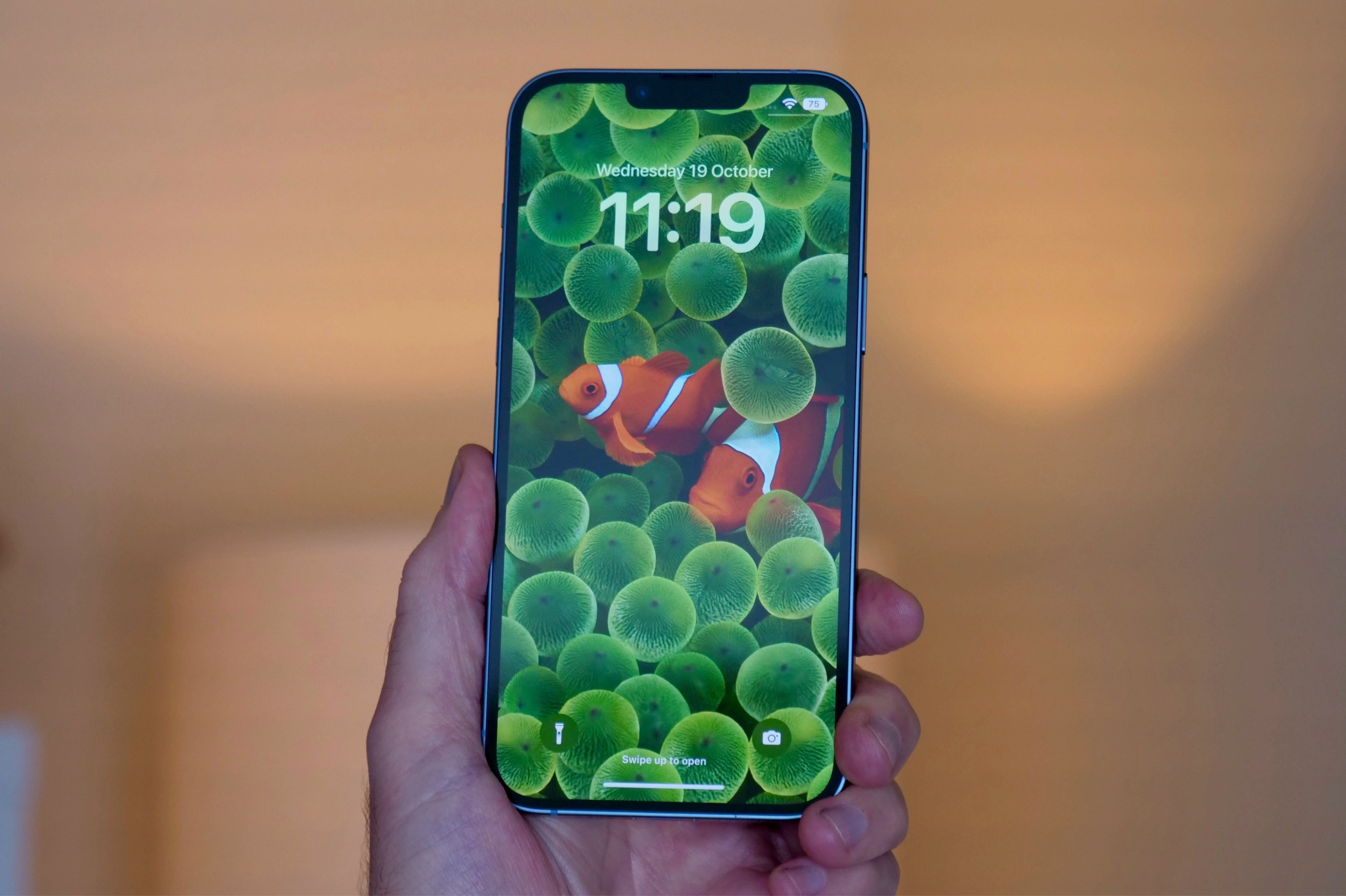 Doanh số iPhone 14 Plus ảnh 1 Doanh so iPhone 14 Plus anh 1