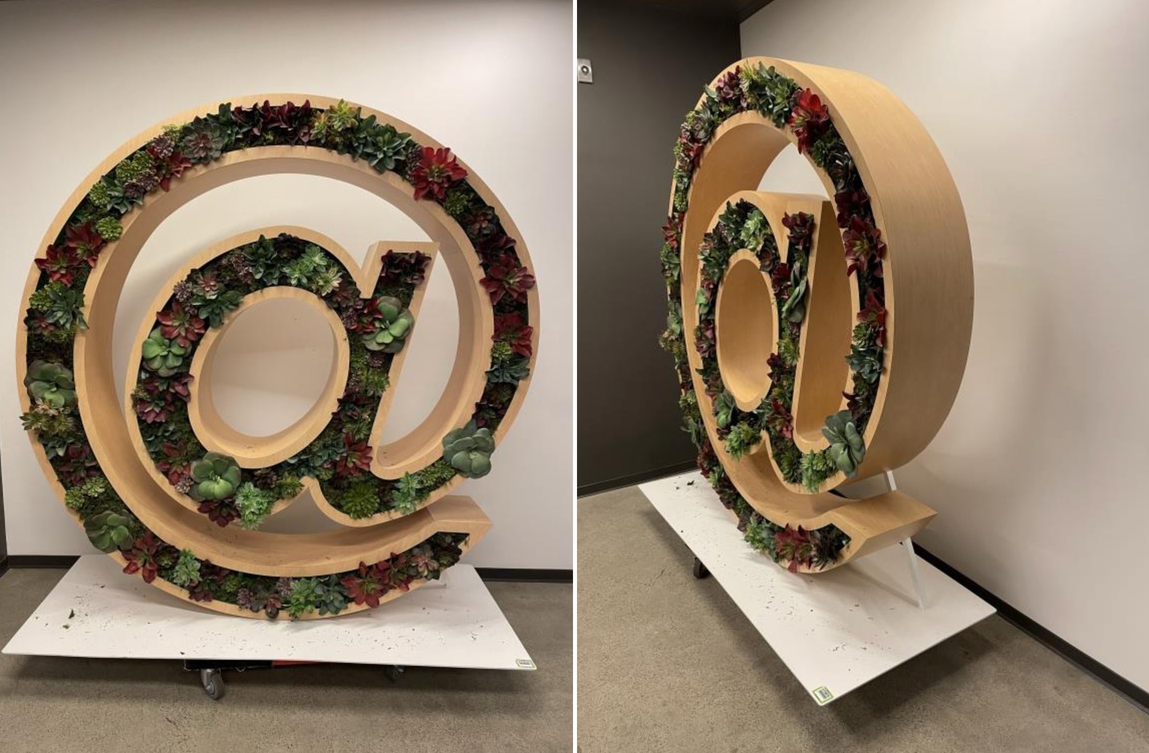 Twitter ban dau gia anh 2