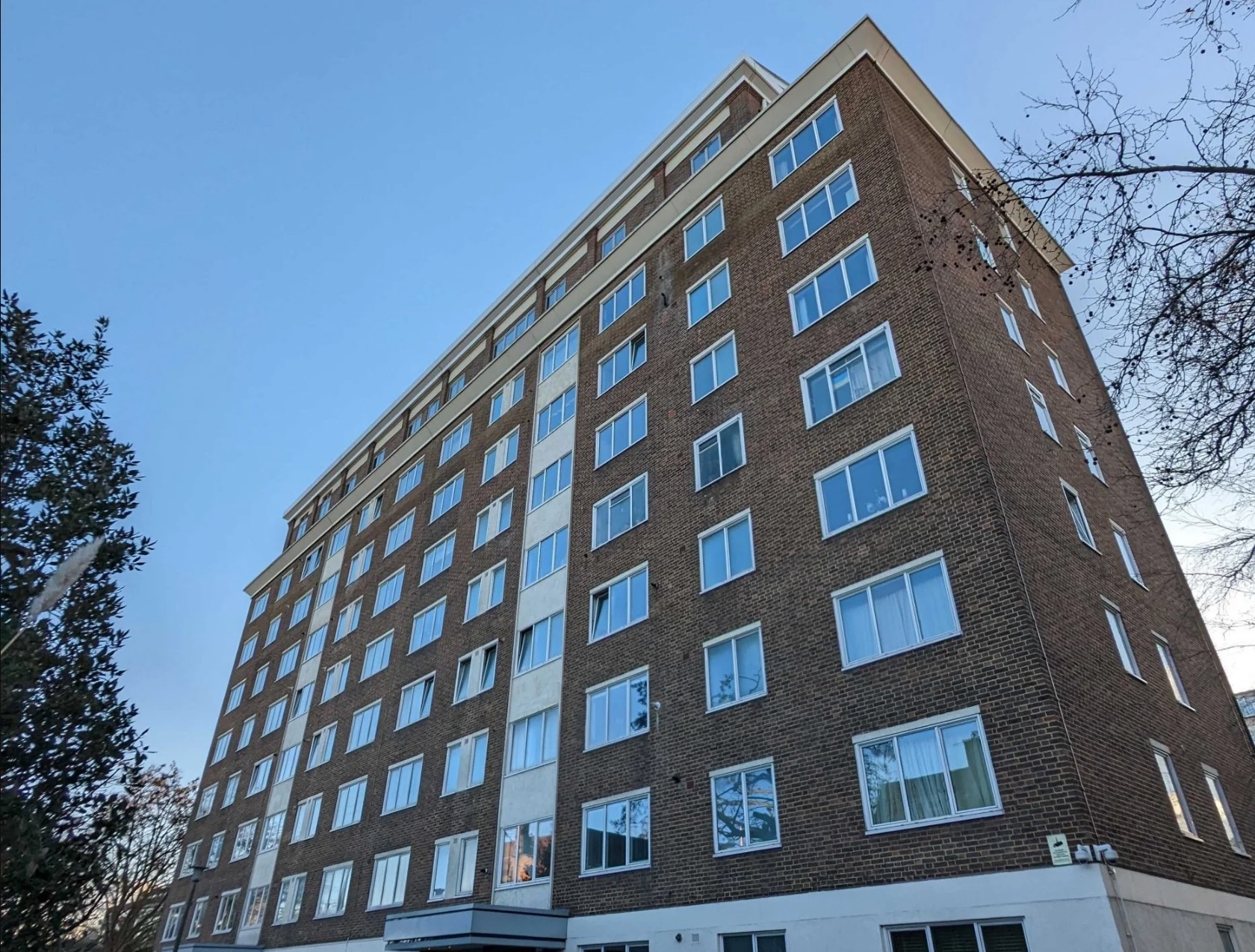 Nu hoang tien so OneCoin anh 1