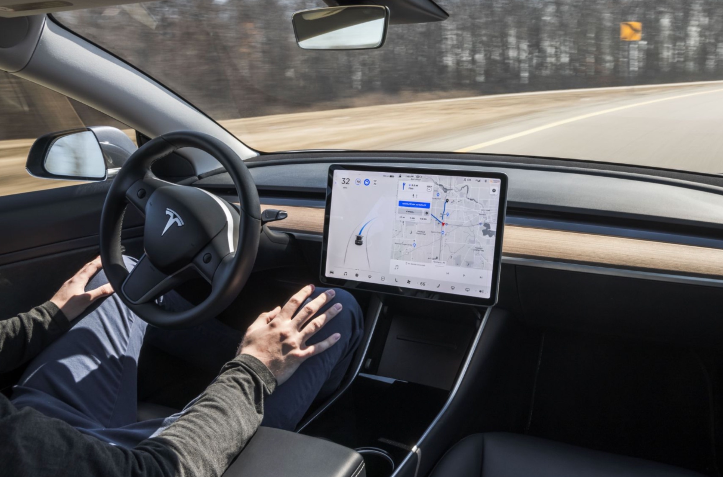 Elon Musk that hua anh 1