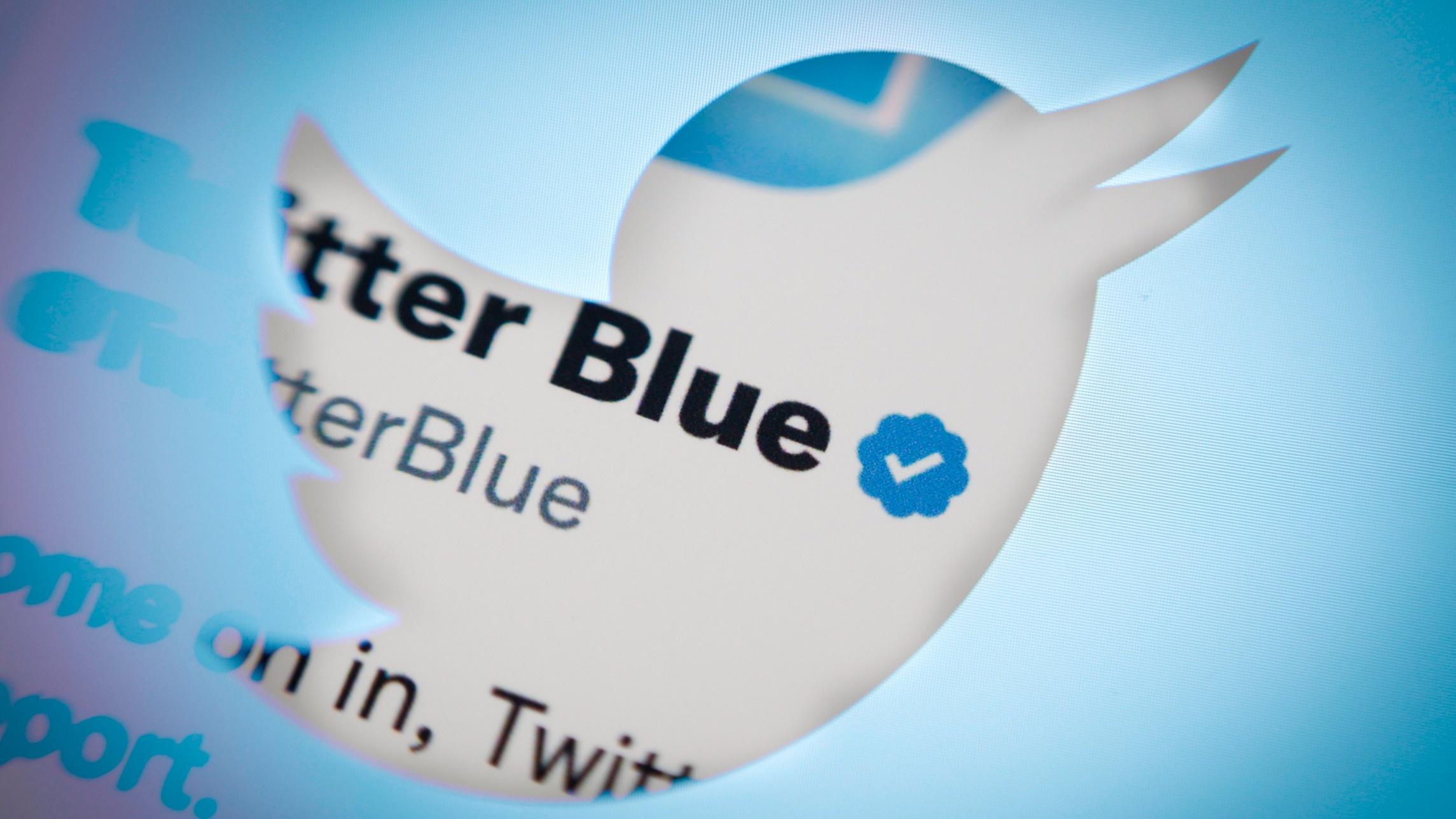 Elon Musk that hua anh 7