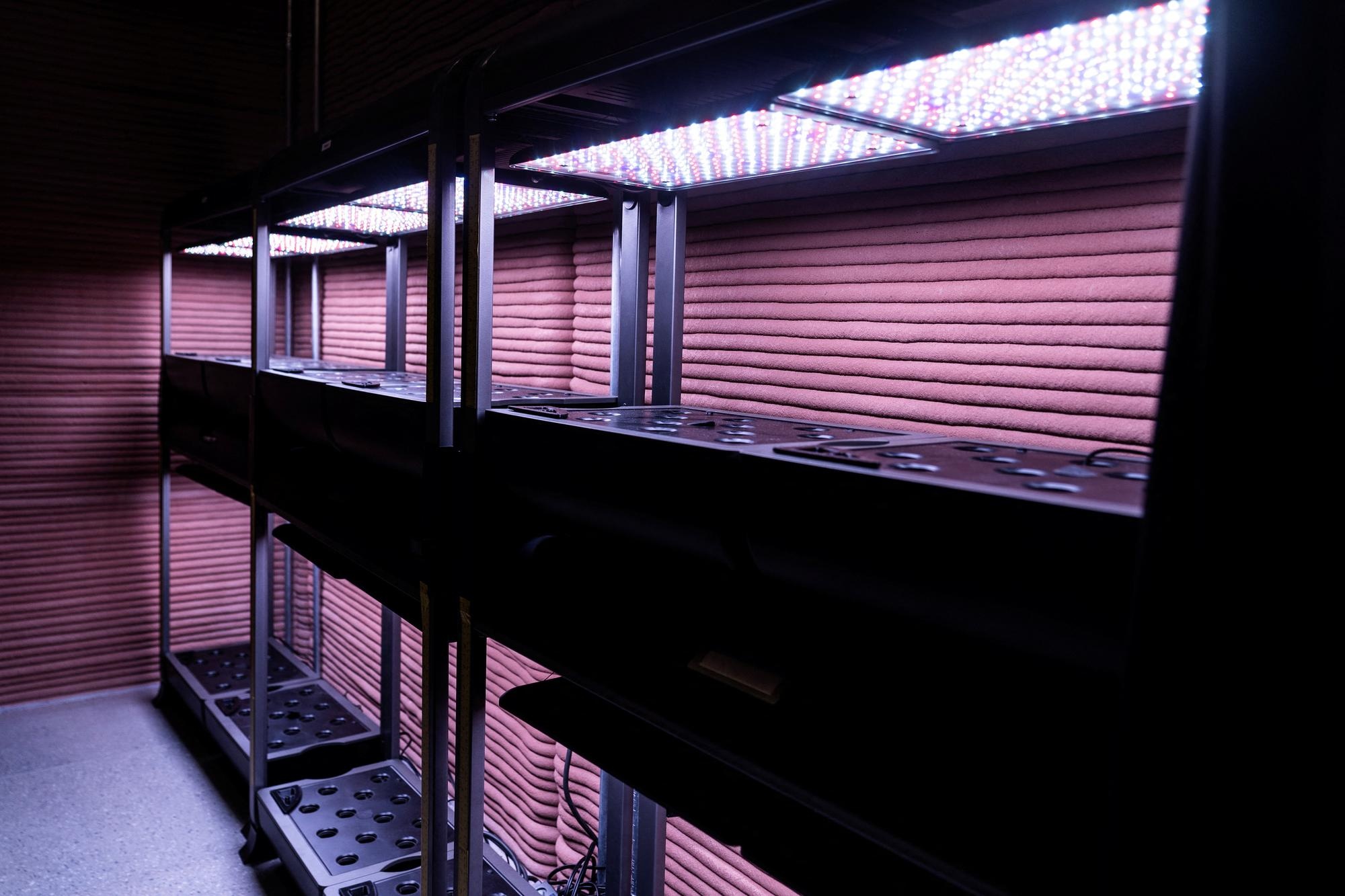 NASA kham pha Hoa tinh anh 16