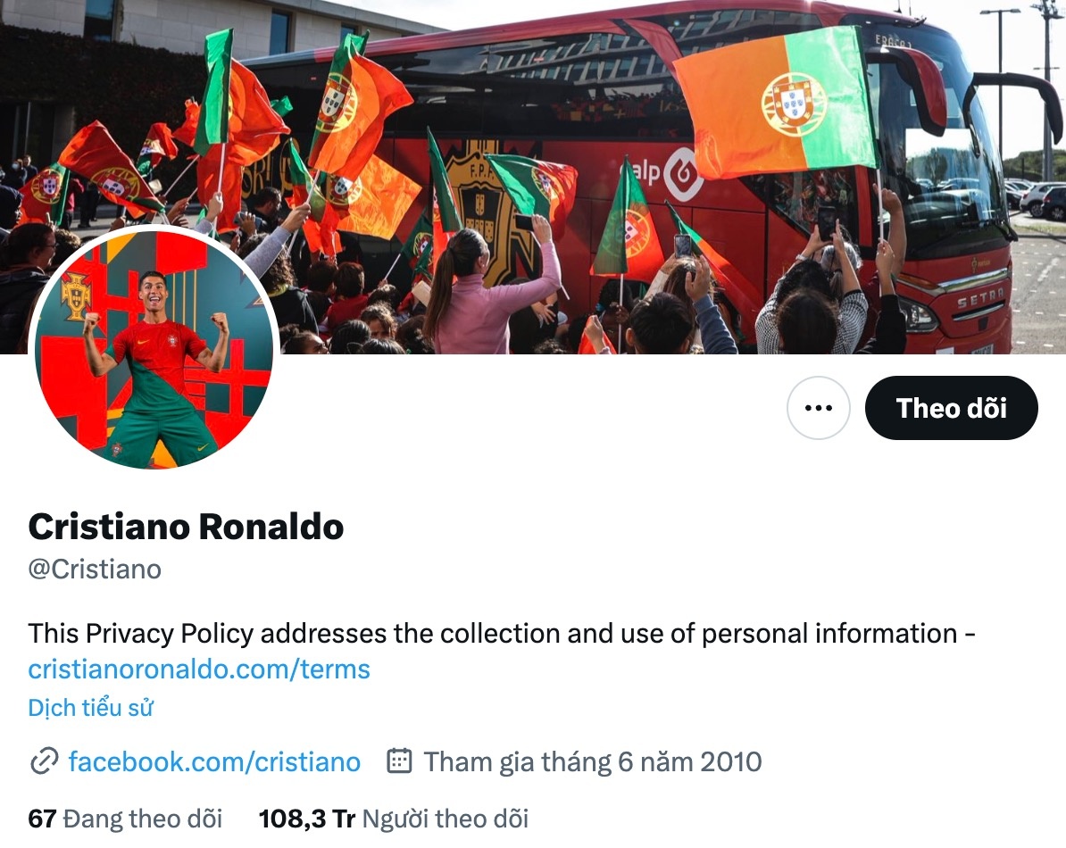 Tick xanh tren Twitter anh 7