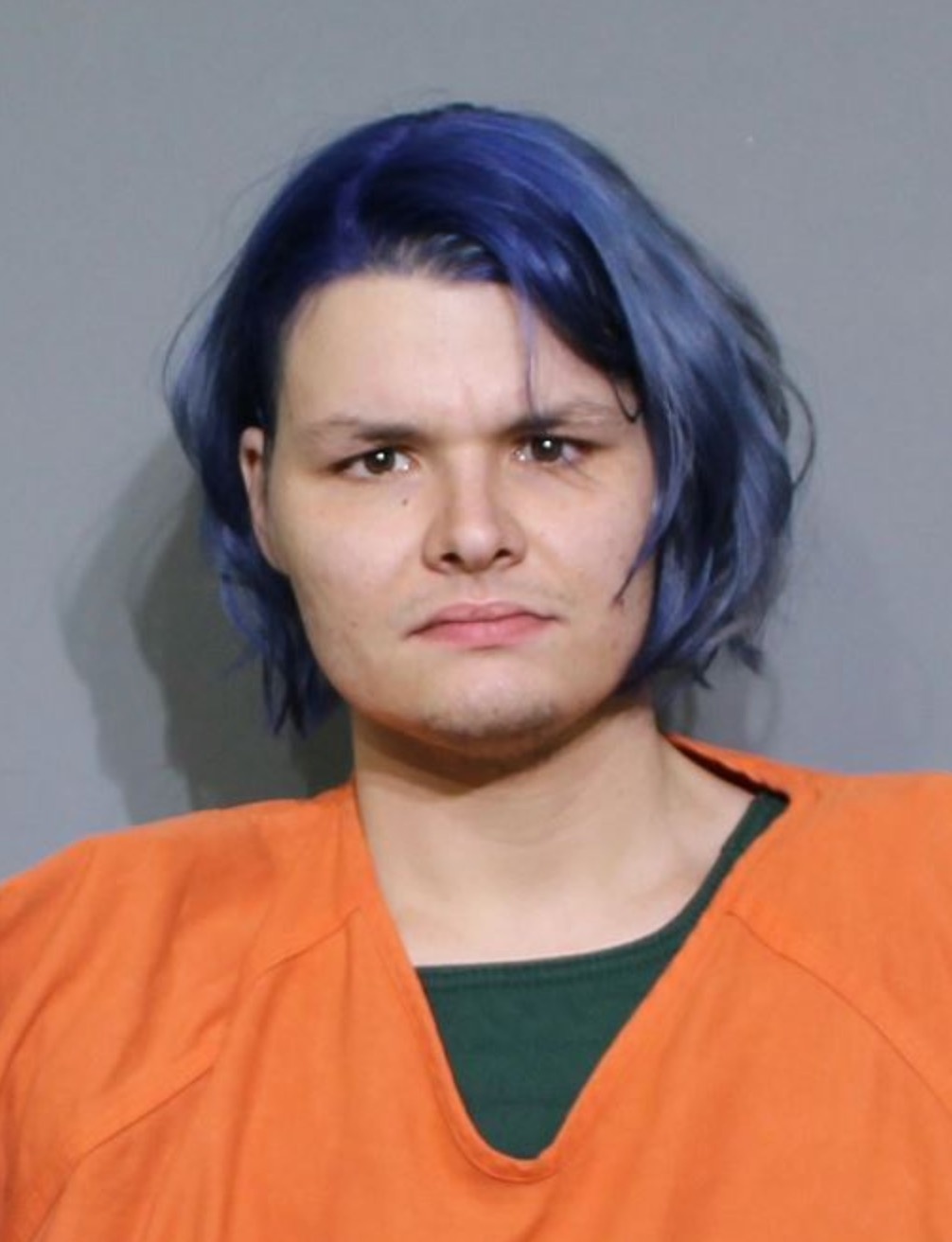 Cuop bang sung Duck Hunt anh 1