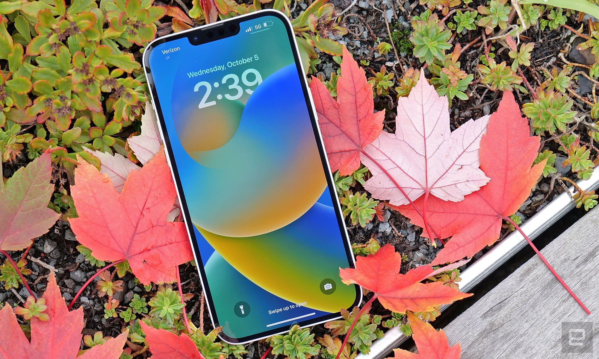 Nen mua iPhone 14 khong anh 2