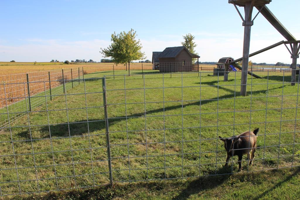 Microsoft mua trang trai bi hinh anh