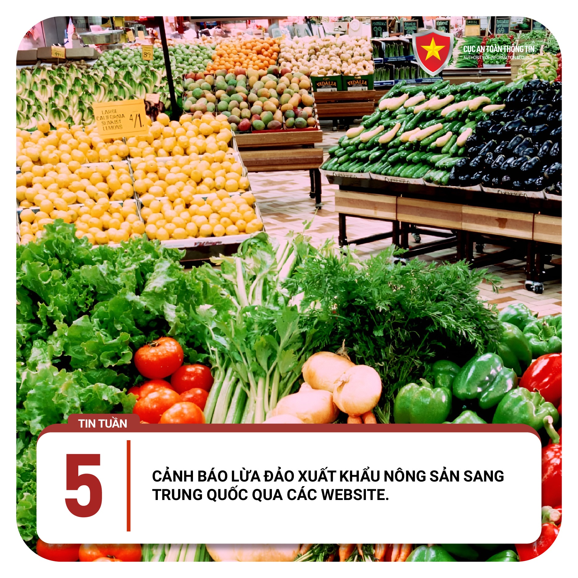 Series diem tuan Cuc ATTT anh 3