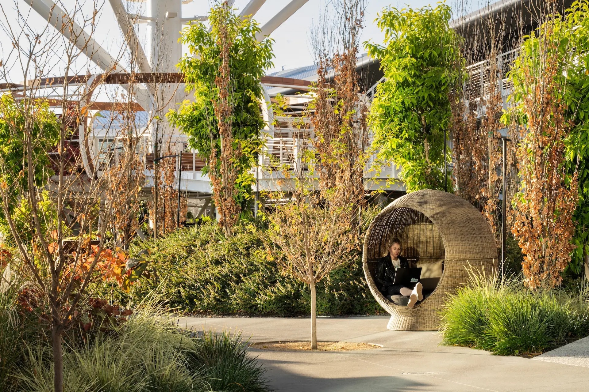 Tru so Nvidia, Apple co gi hay hinh anh