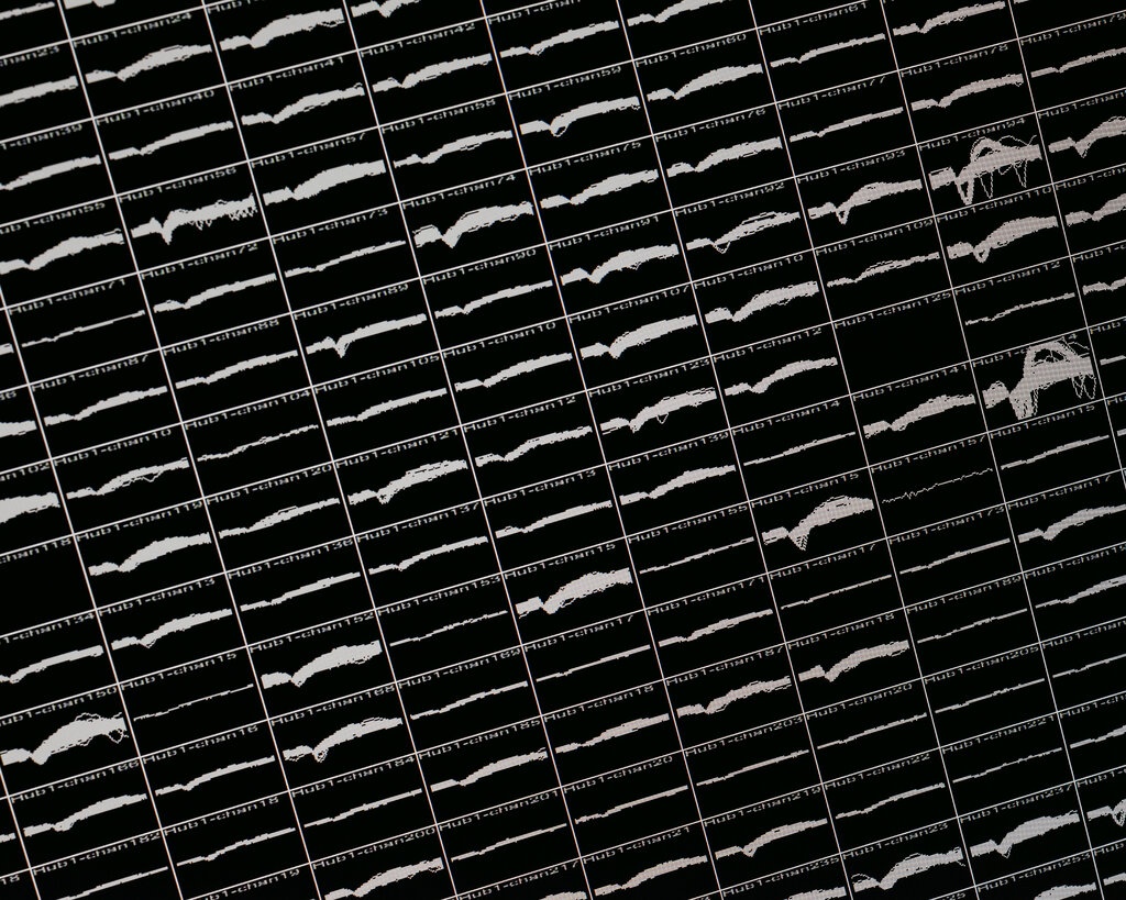 Chip cay ghep nao anh 2