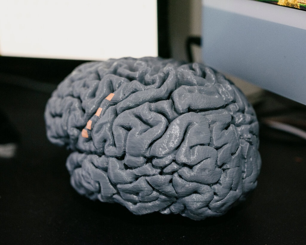 Chip cay ghep nao anh 5