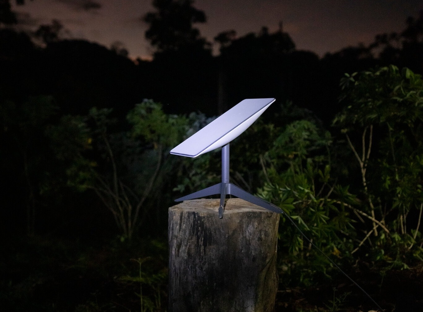 Quoc gia tu choi Elon Musk hinh anh