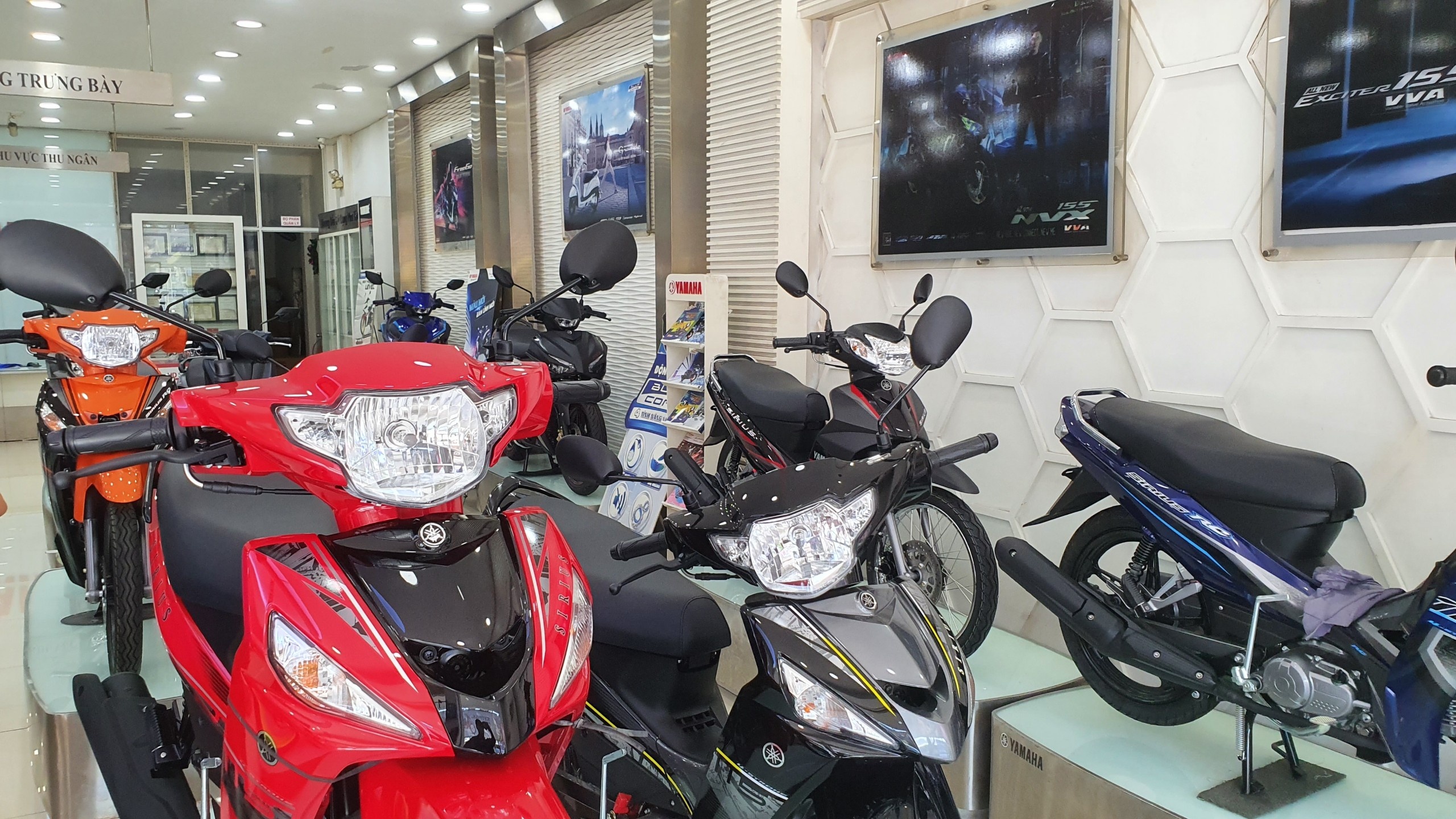 nguoi tieu dung mua nhieu xe so anh 3