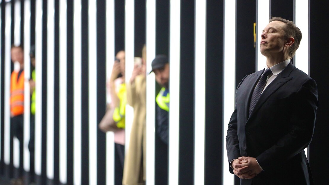 Tesla kho thue nguoi anh 2