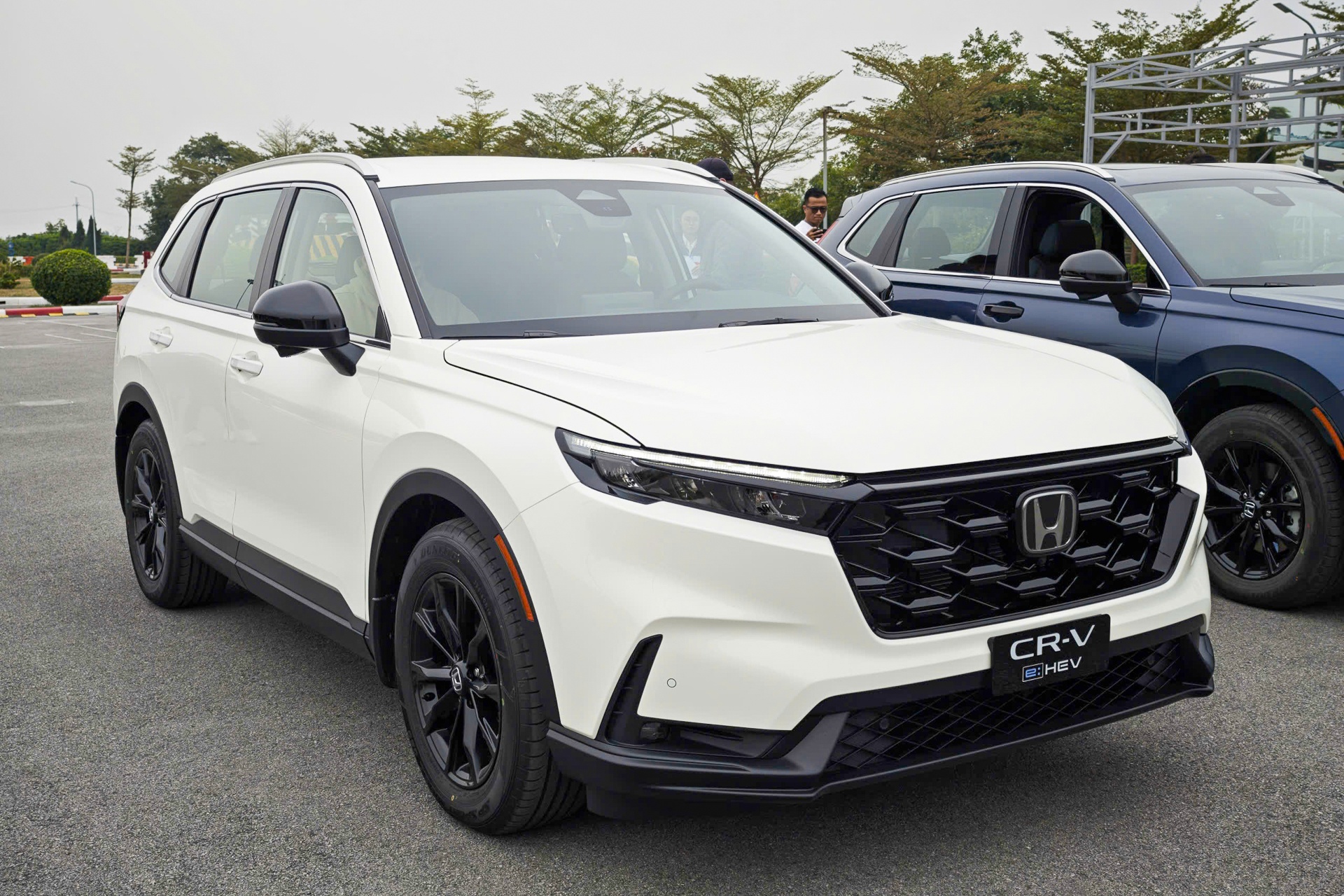 Cuoc chien xe hybrid dan tang nhiet - nhieu xe moi don song ho tro hinh anh