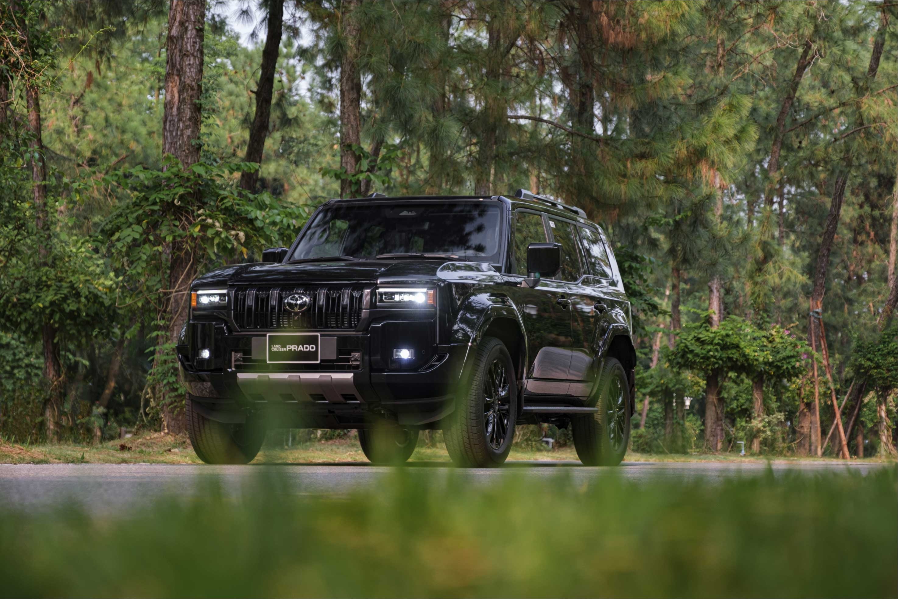 Toyota Land Cruiser anh 2