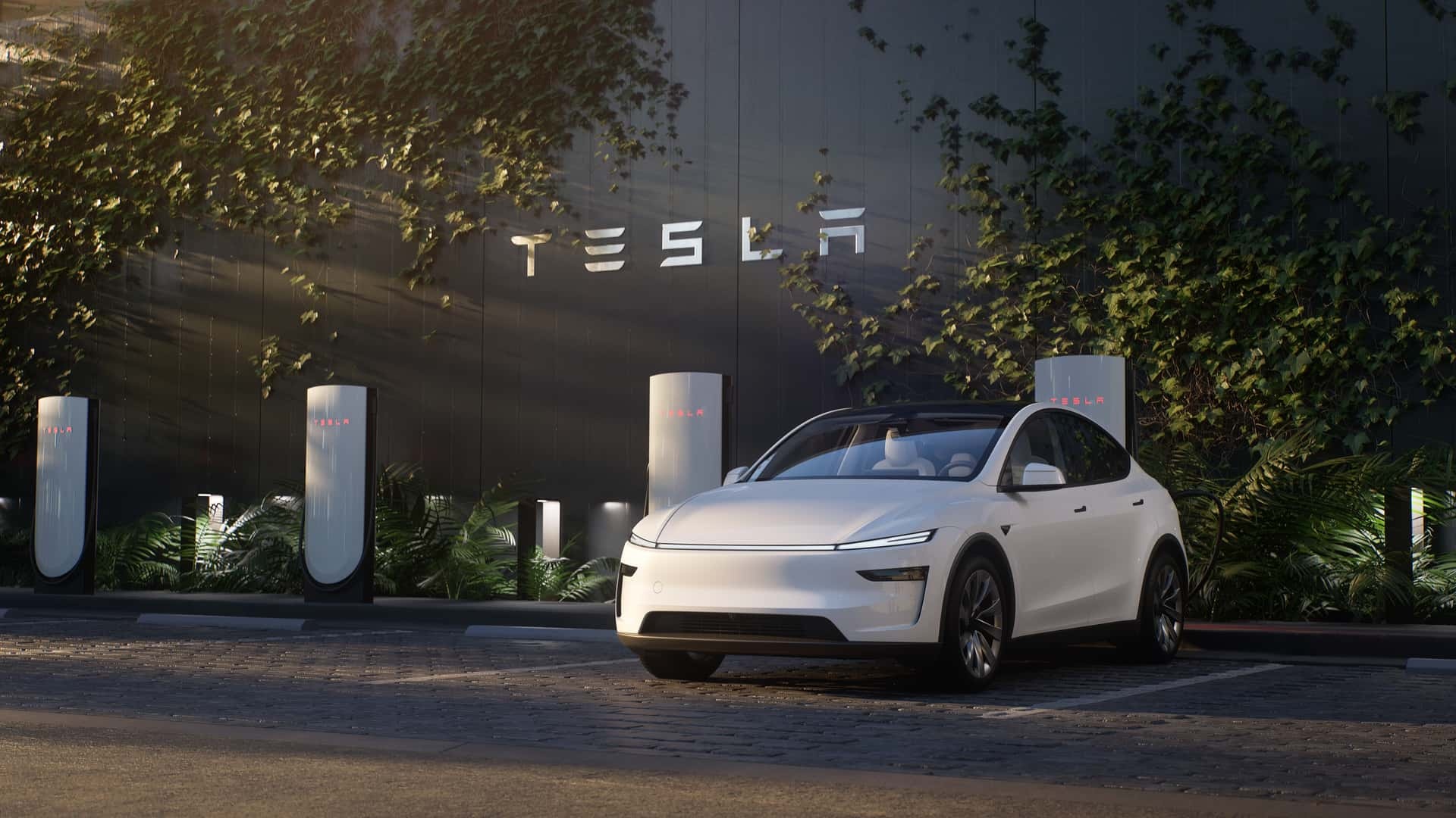 Tesla Model Y anh 17