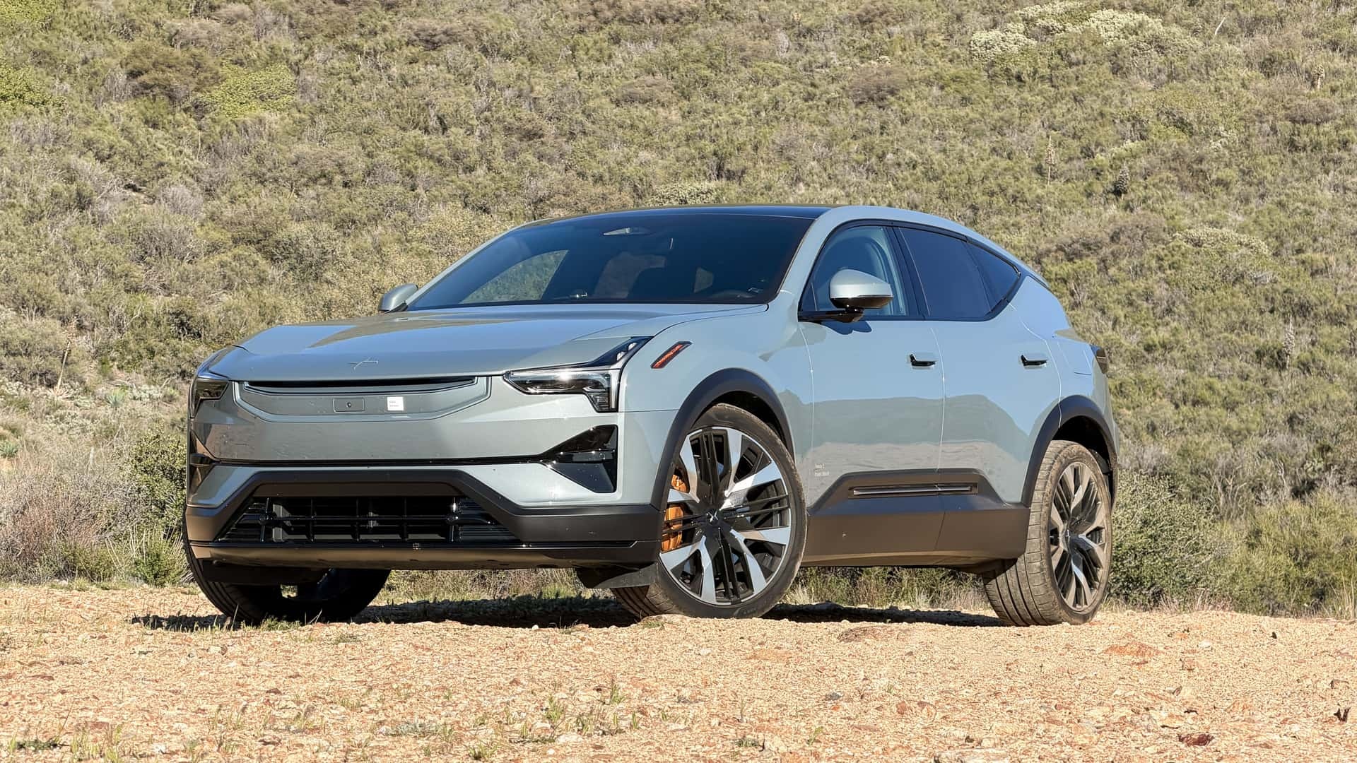 chu xe dien Tesla anh 2