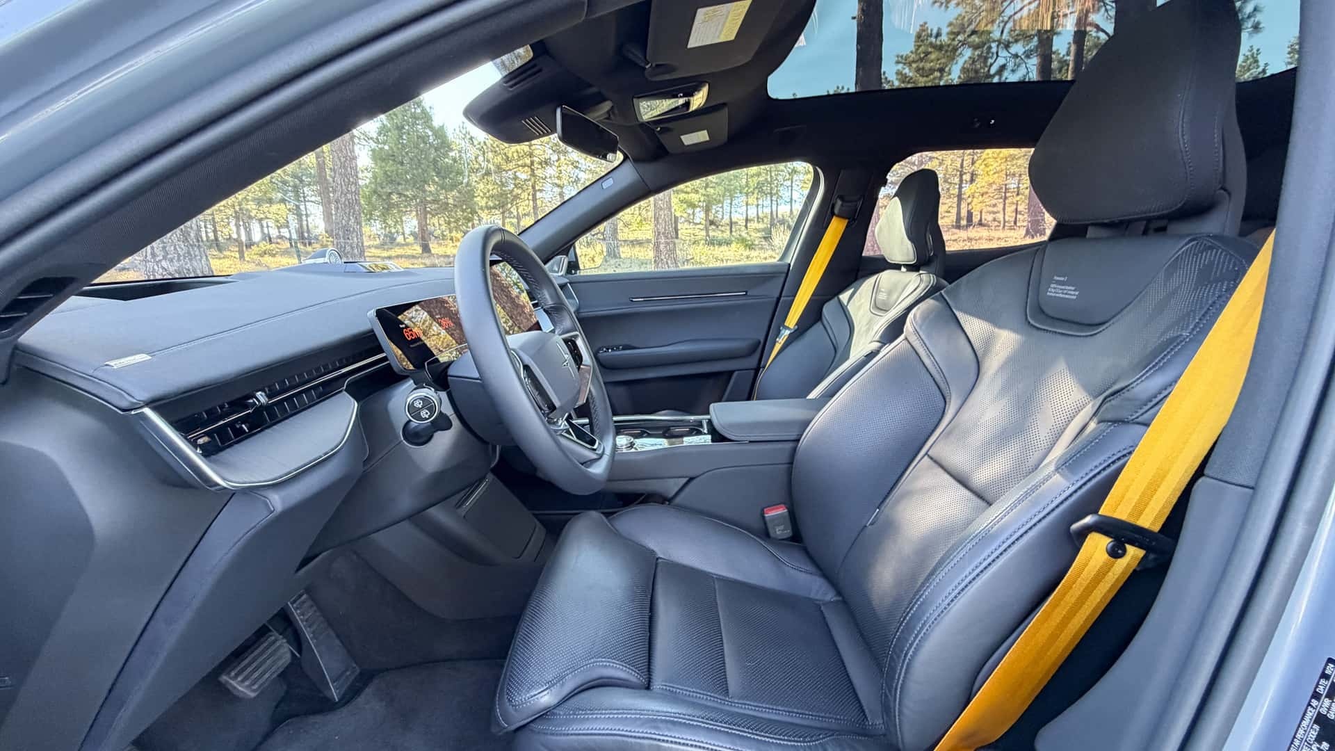 chu xe dien Tesla anh 3