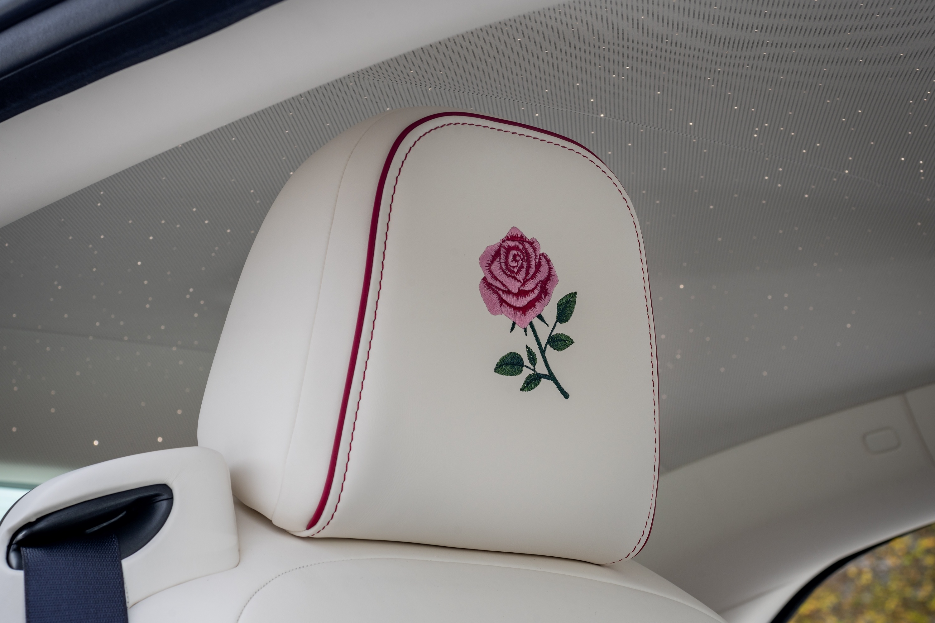 Rolls-Royce Spectre Rose anh 5