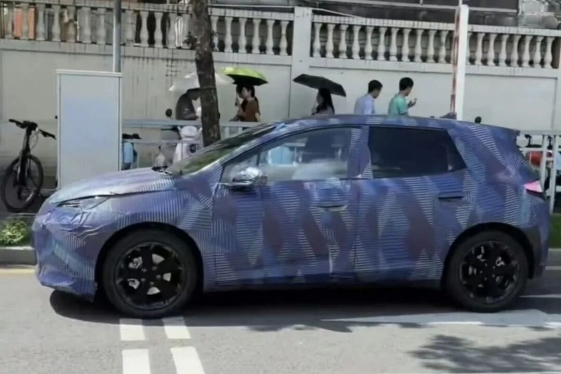 BYD Dolphin anh 1