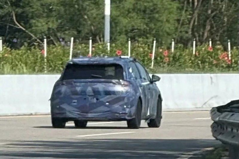 BYD Dolphin anh 2