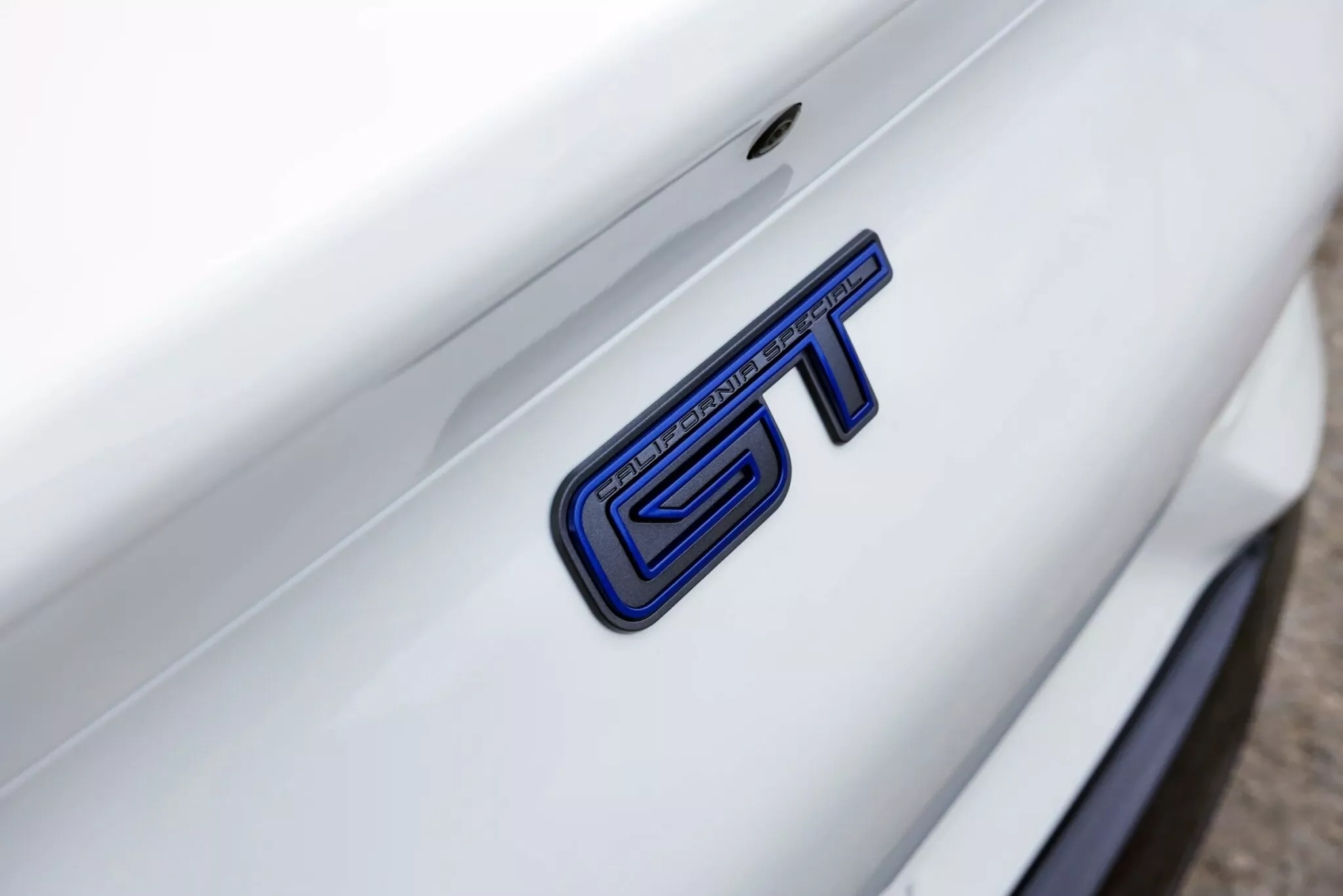 Ford Mustang Mach-E anh 13