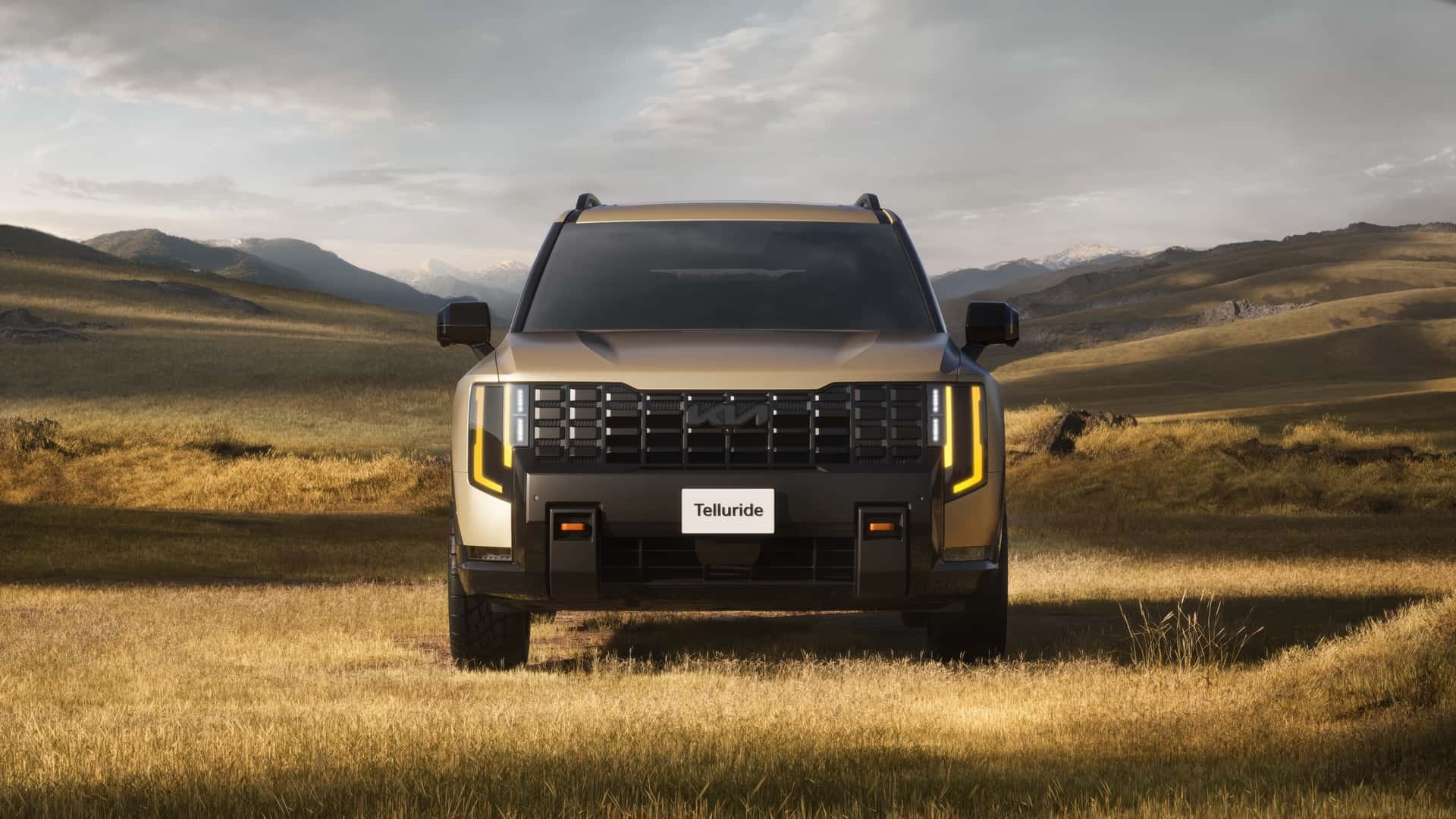 Kia Telluride anh 3