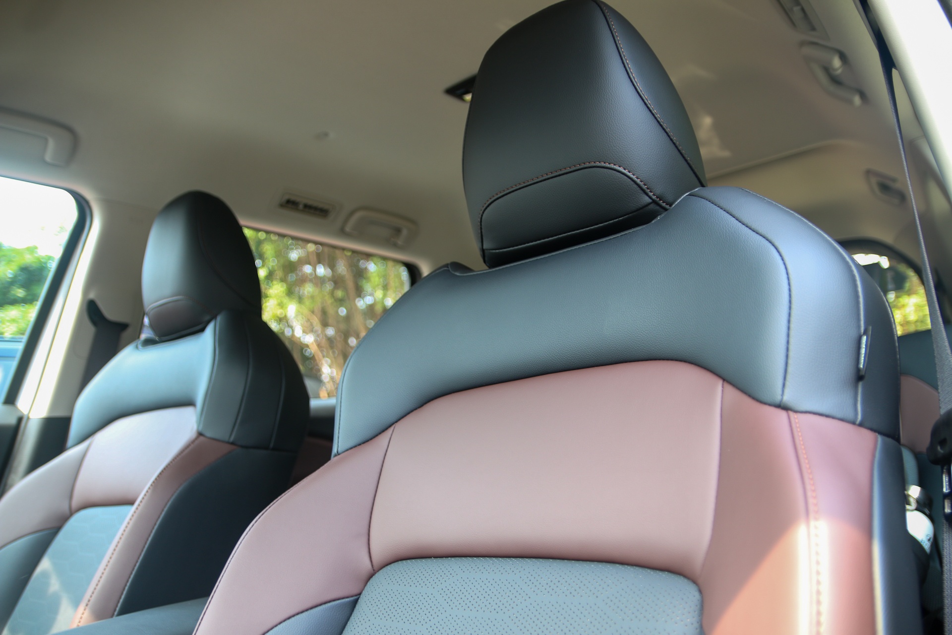 Mitsubishi,  Destinator anh 3