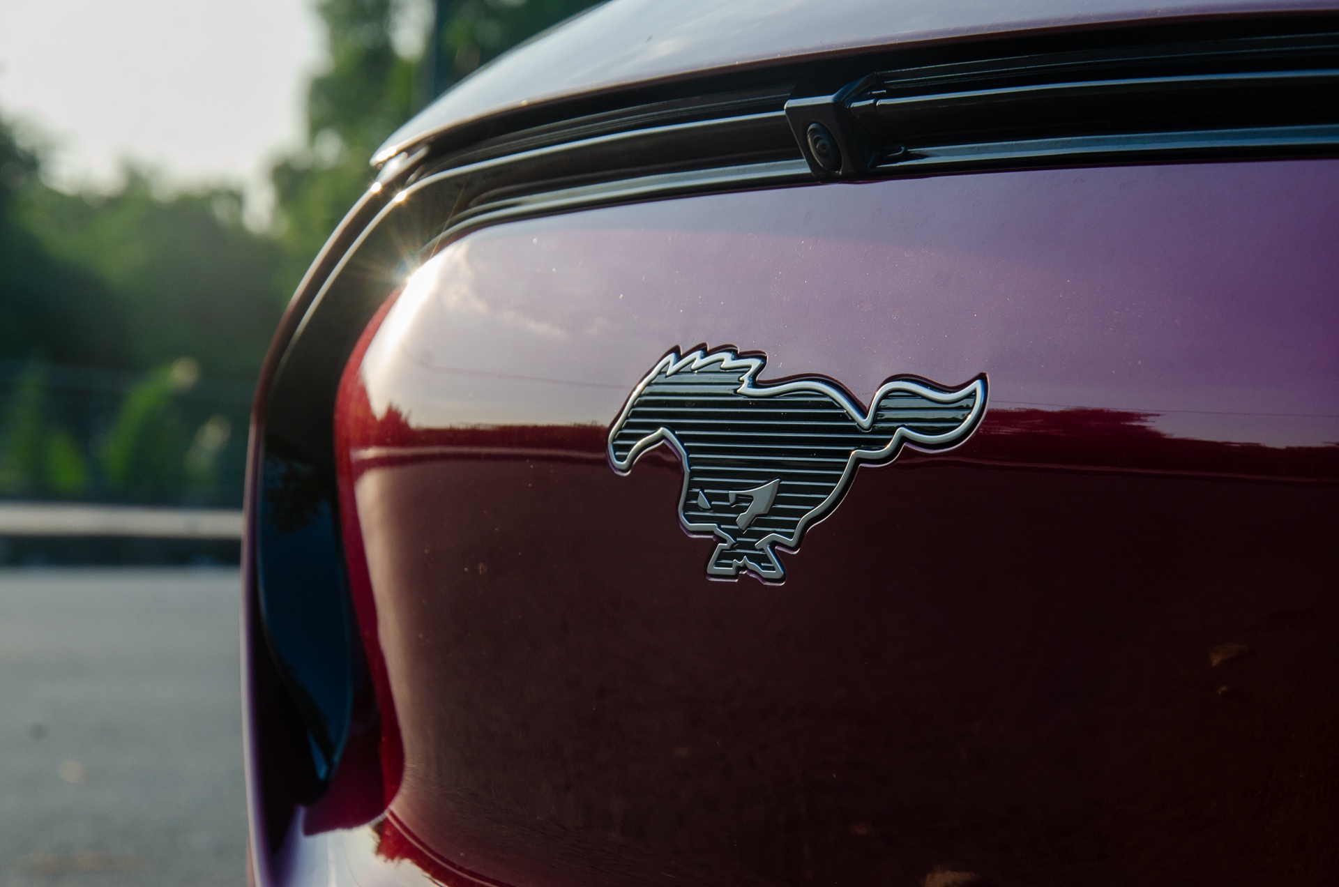 Nam ngua noi chuyen ma luc - thuat ngu 'bat tu' trong nganh oto hinh anh