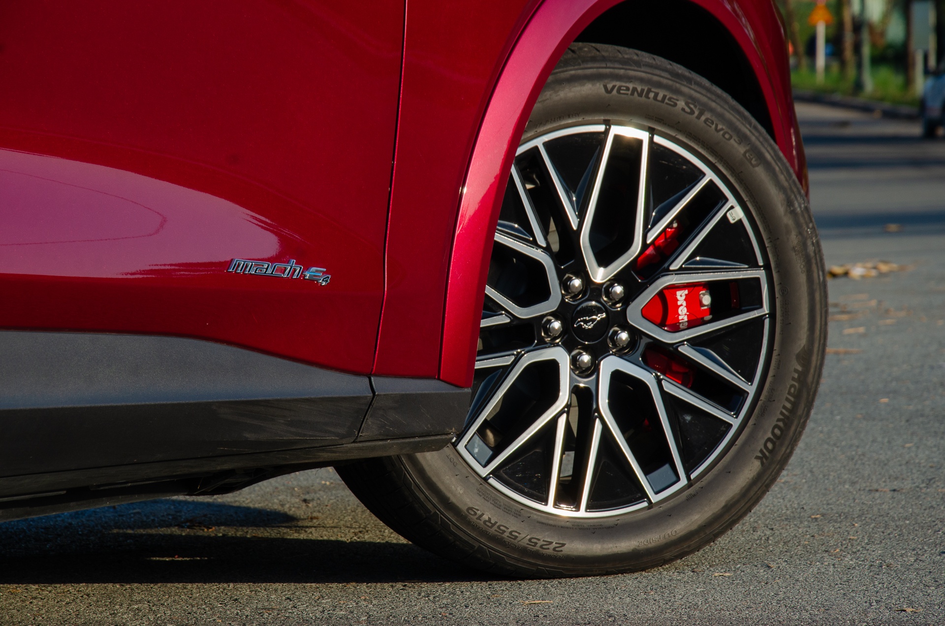 Ford Mustang Mach-E anh 3