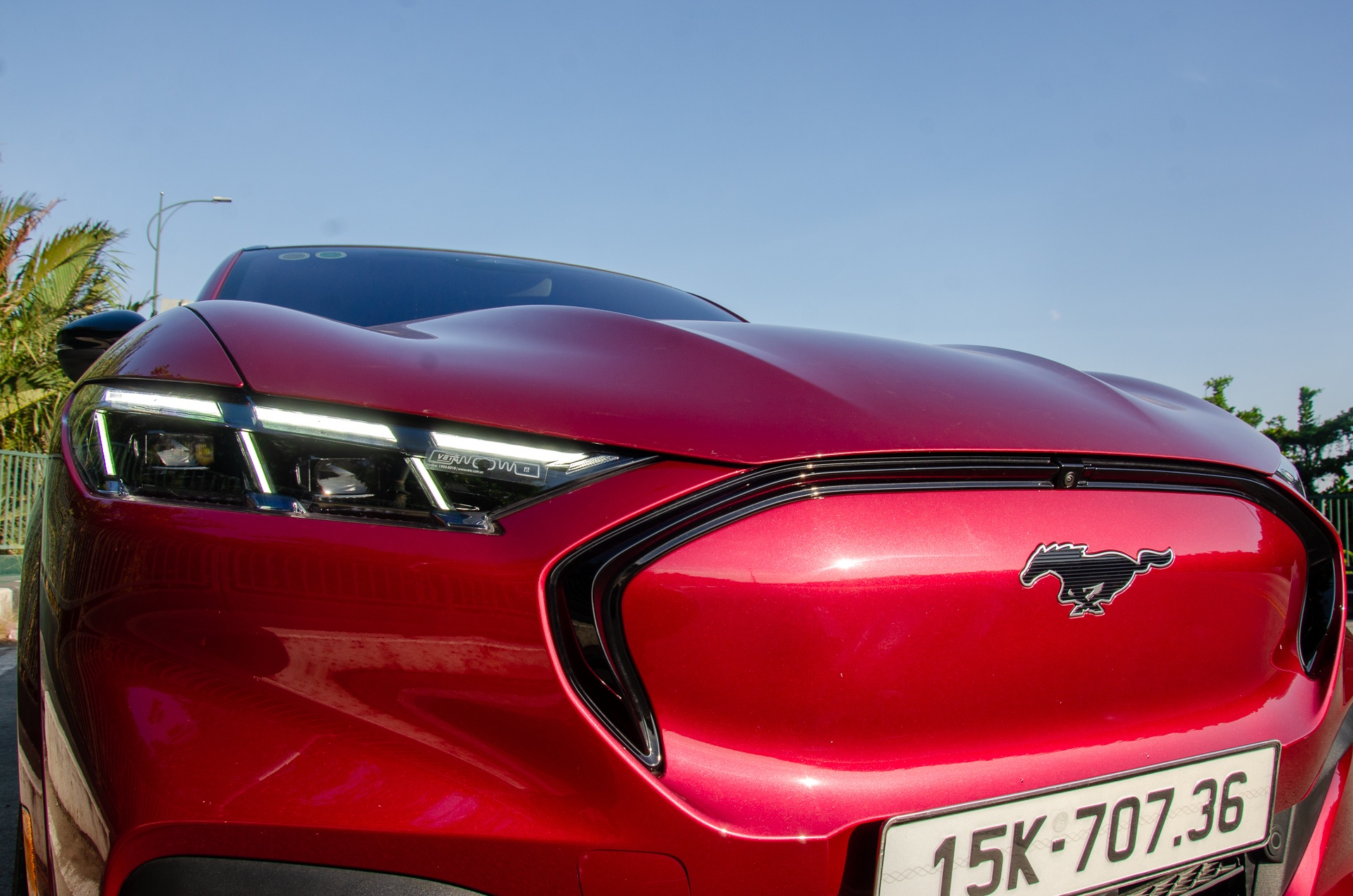 Ford Mustang Mach-E anh 6