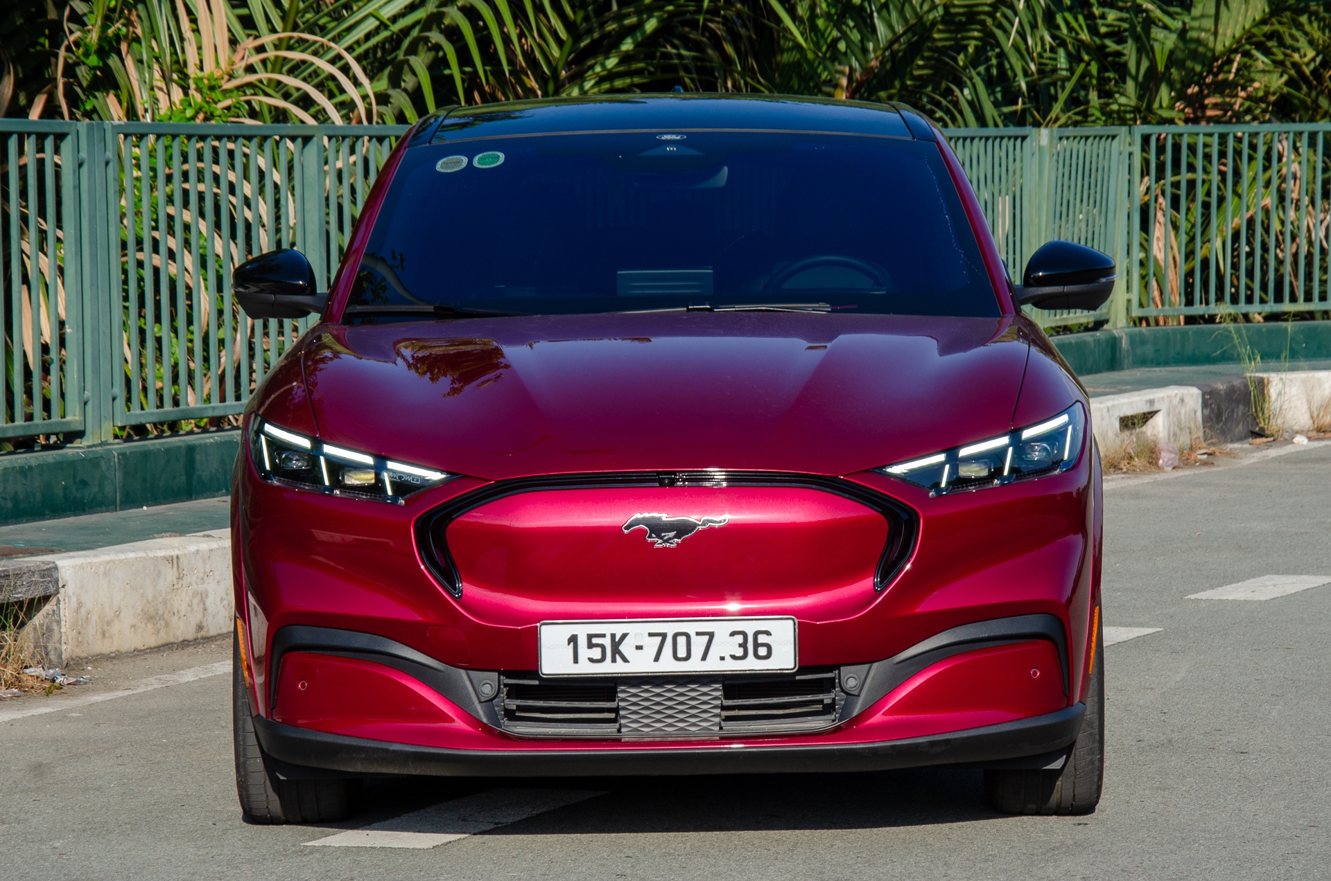 Ford Mustang Mach-E anh 1