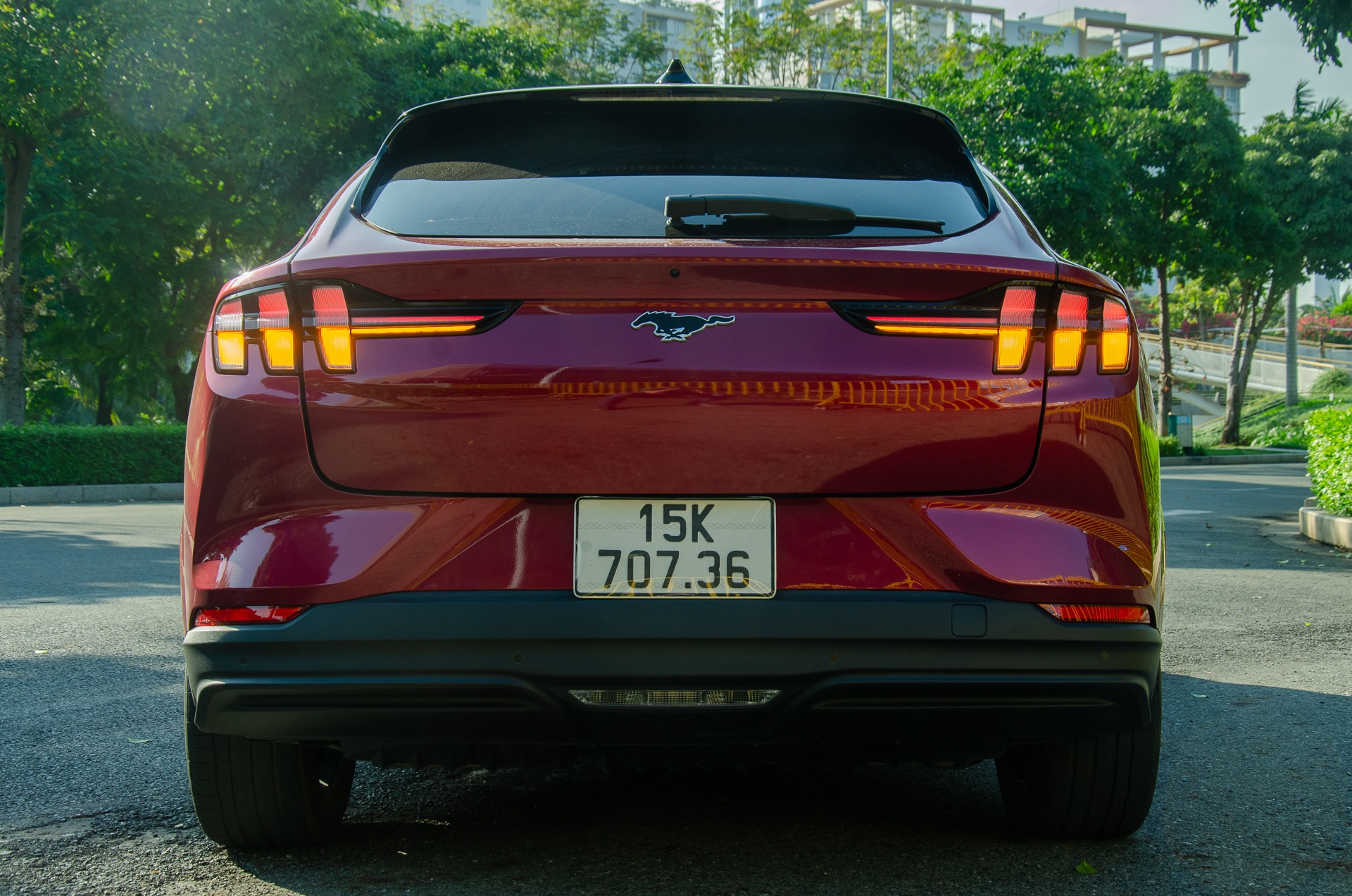 Ford Mustang Mach-E anh 2