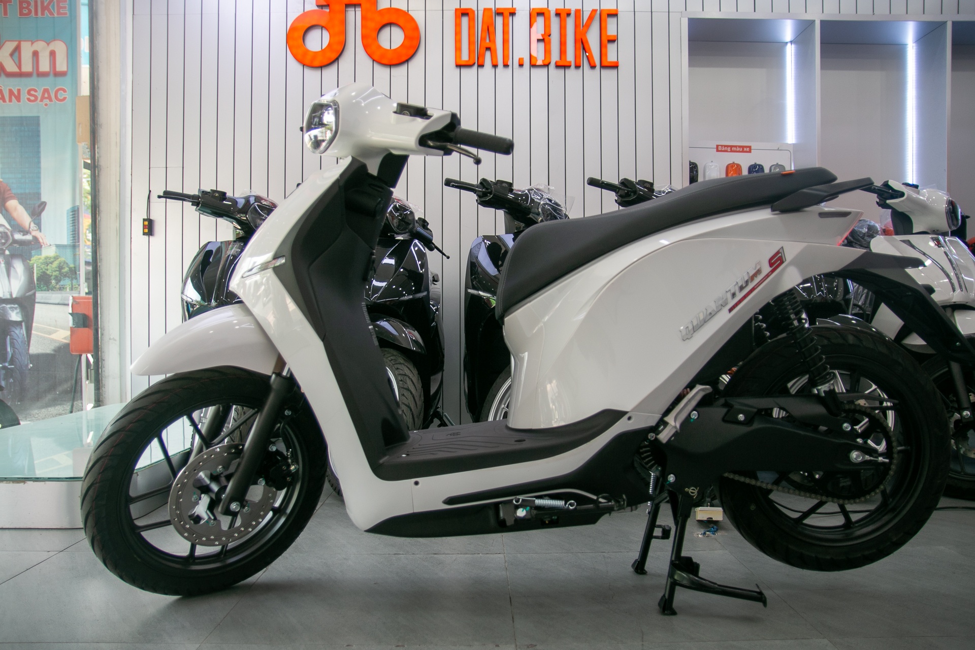 Dat Bike Quantum S1 anh 2