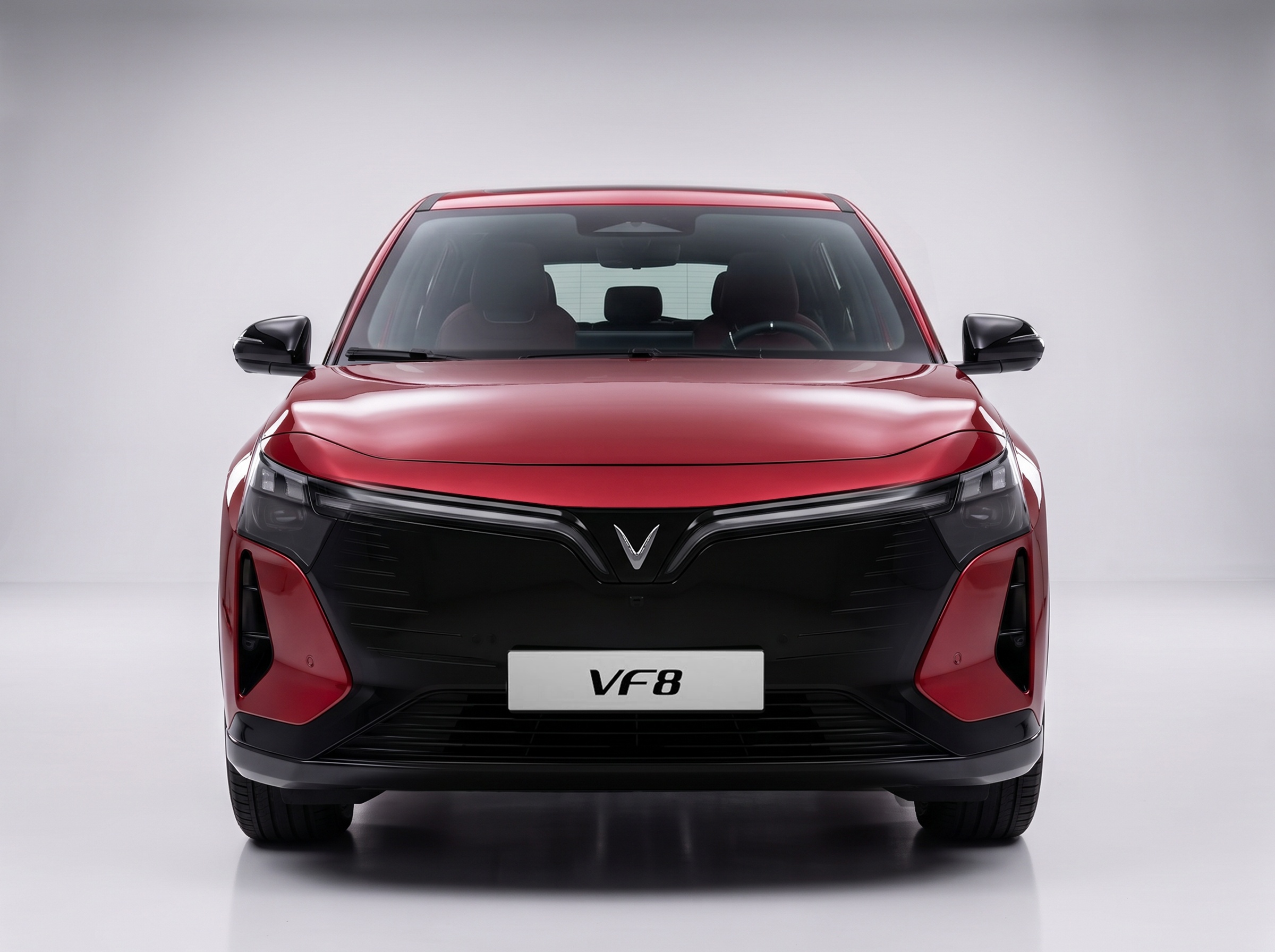 VF 8 the he moi anh 2