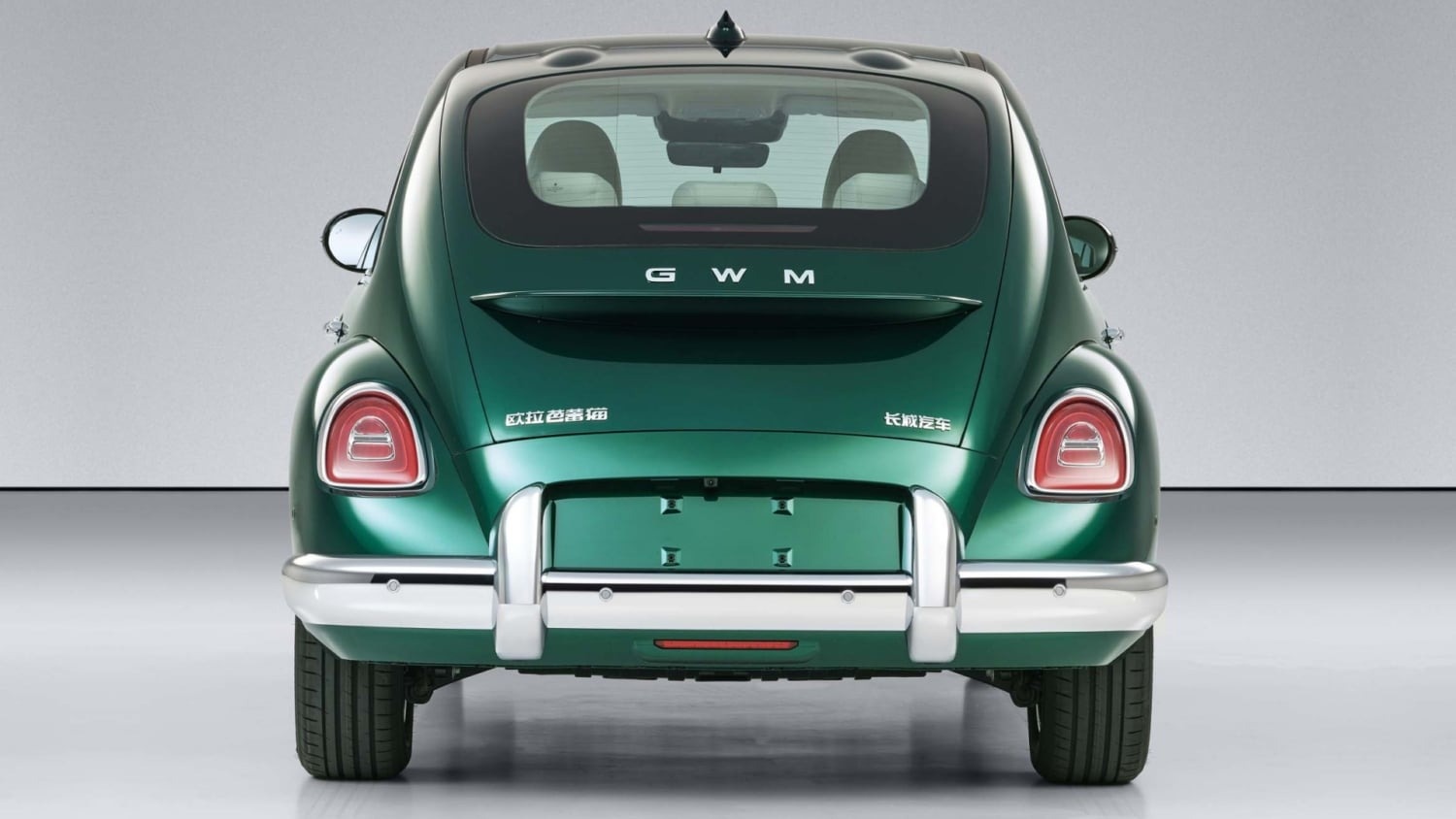 xe con bọ ảnh 1