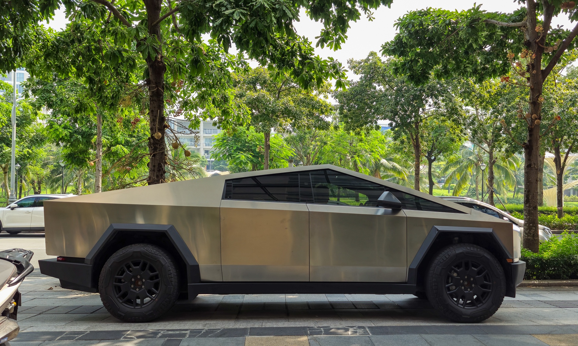 Tesla ảnh 5
