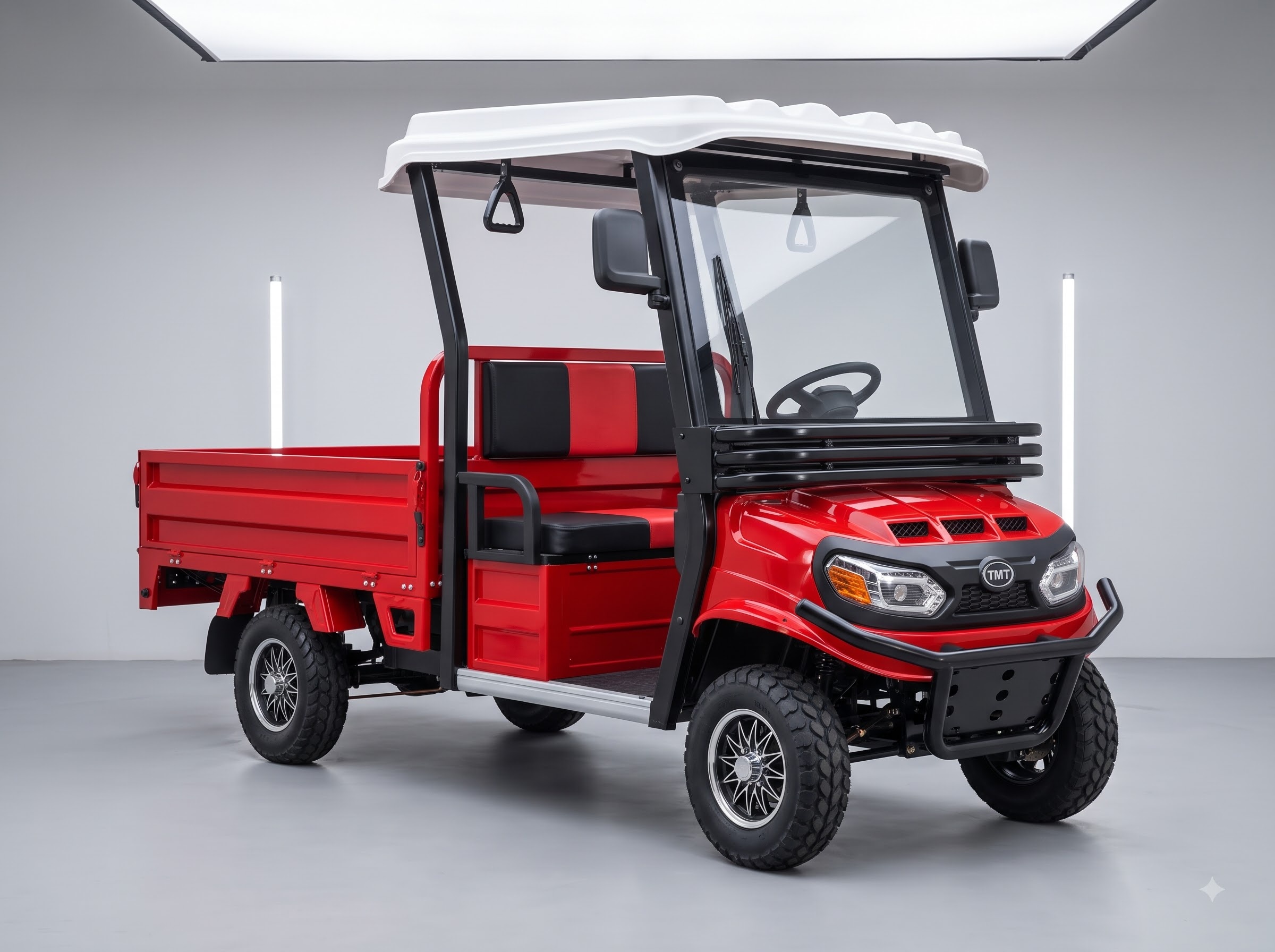 xe điện tốc độ thấp ảnh 4