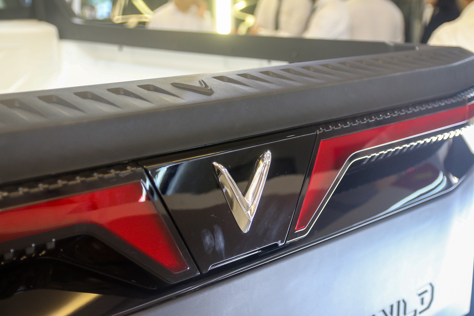 VF Wild ảnh 6 VF Wild ảnh 6